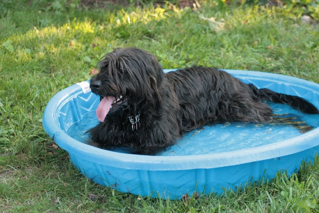 user avatar image for Narigard