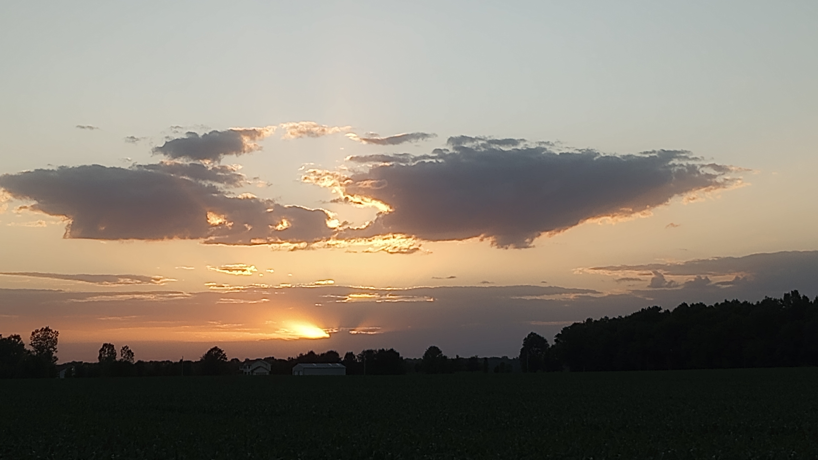 user avatar image for Char Clinger 