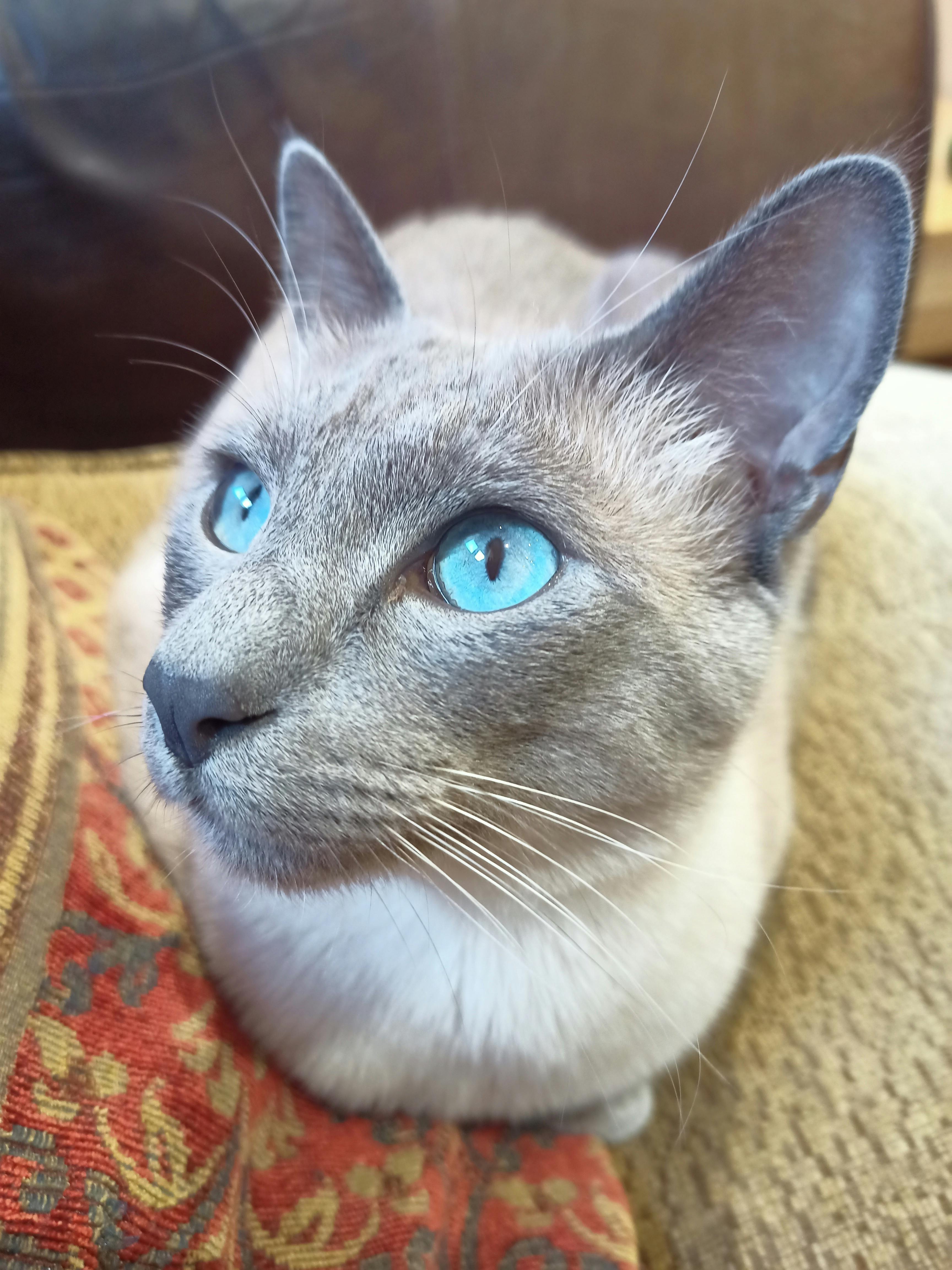 user avatar image for Benjamin Newton