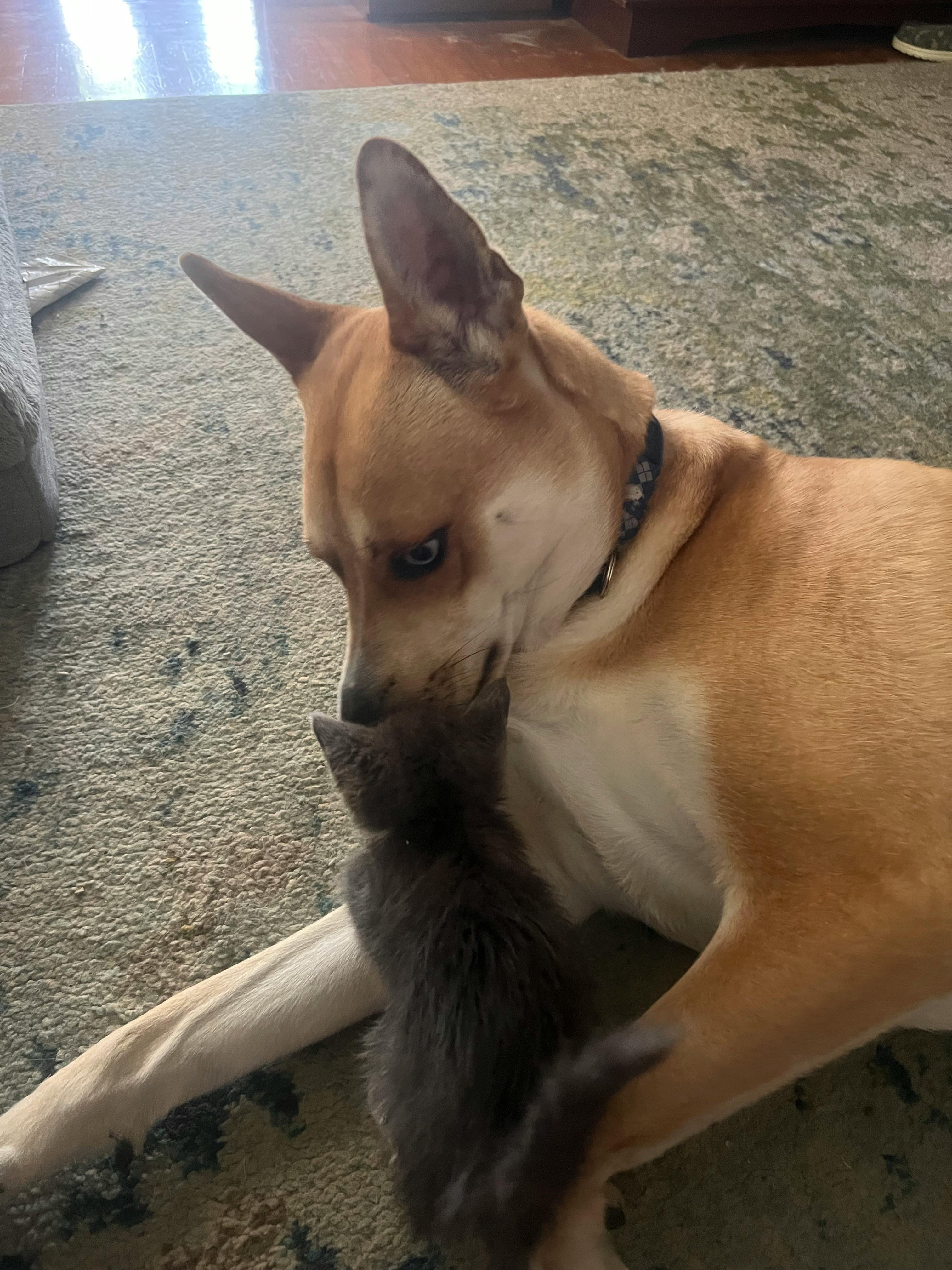 user avatar image for Paige