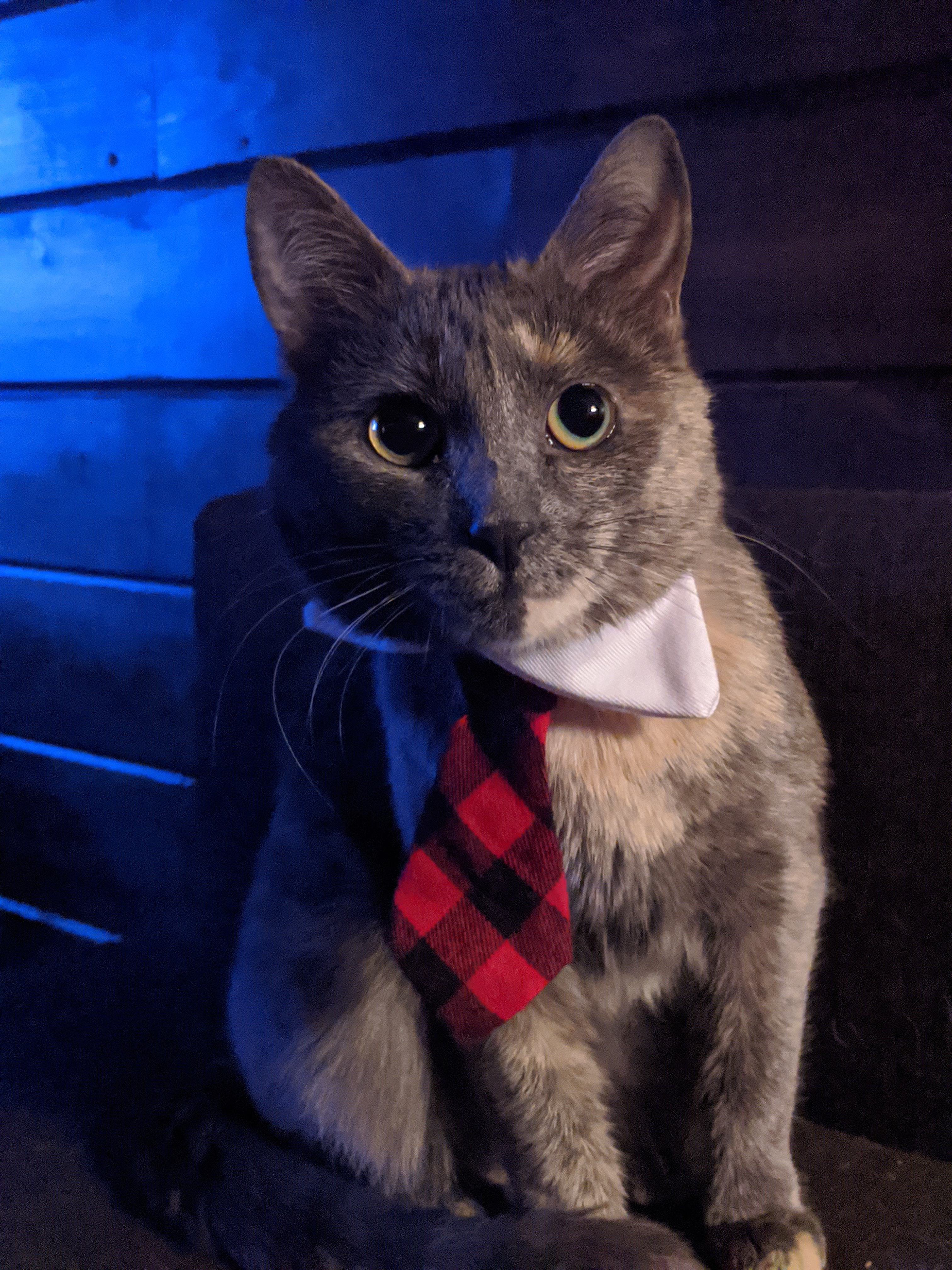 user avatar image for Daniel Nelson