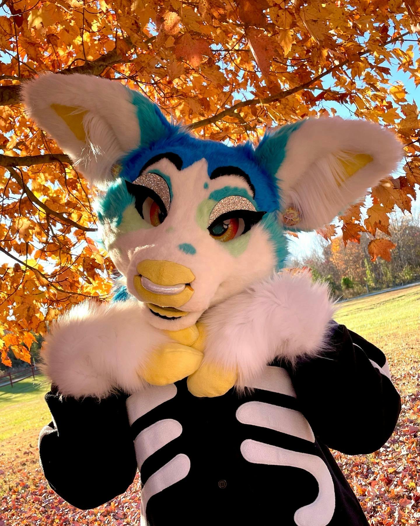 user avatar image for Spencer! 💙