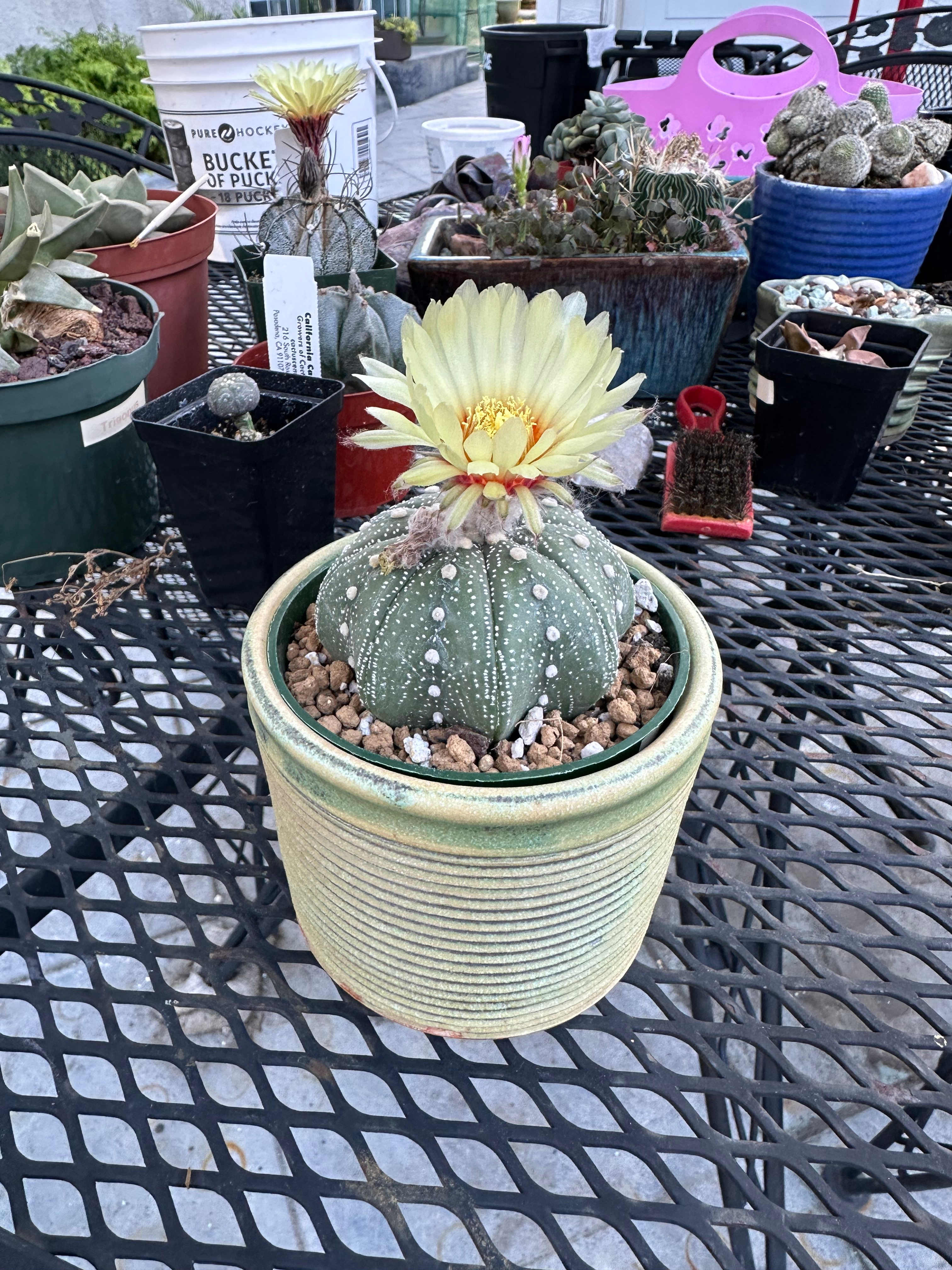 user avatar image for RayL