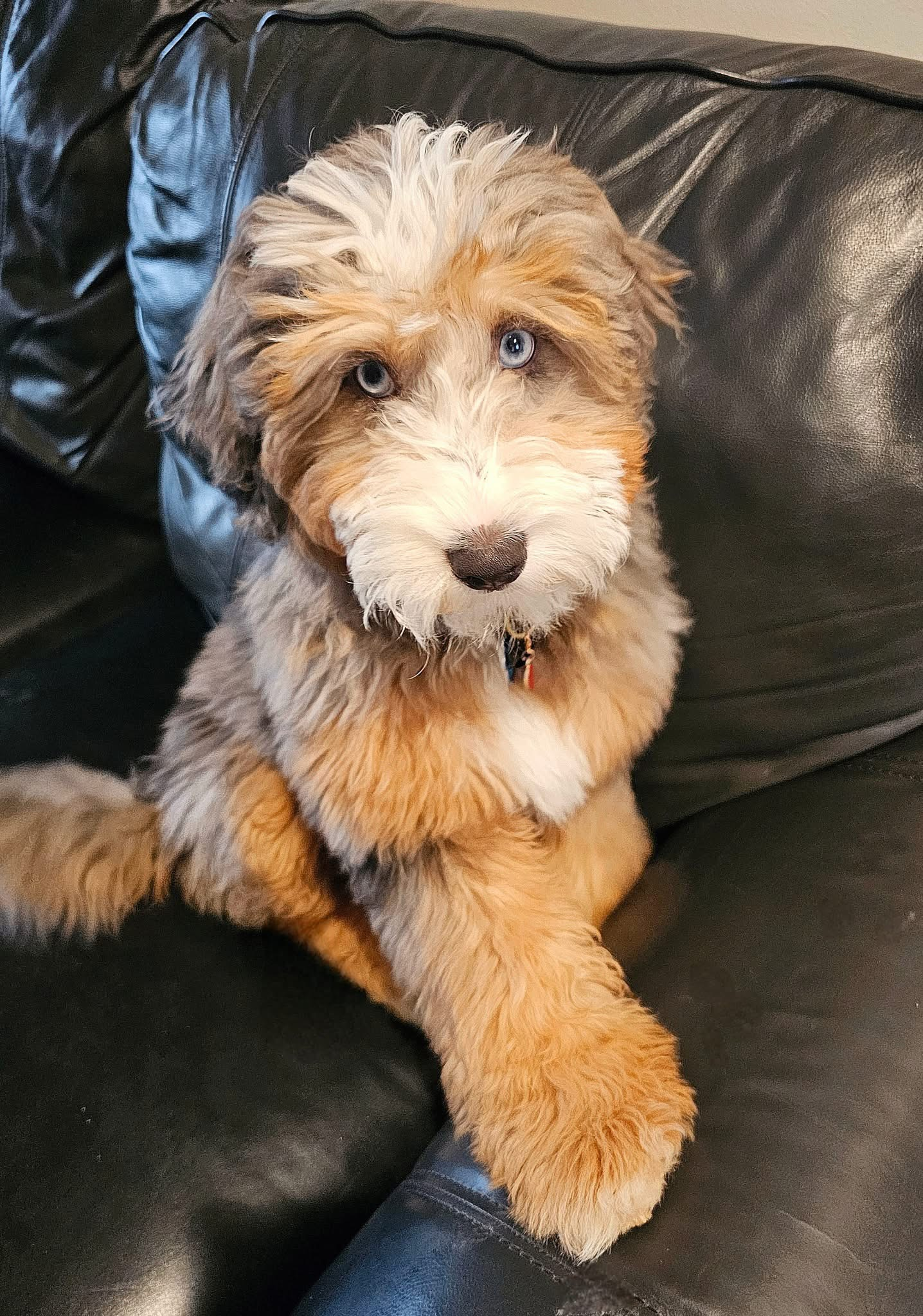 user avatar image for Christina Kampas