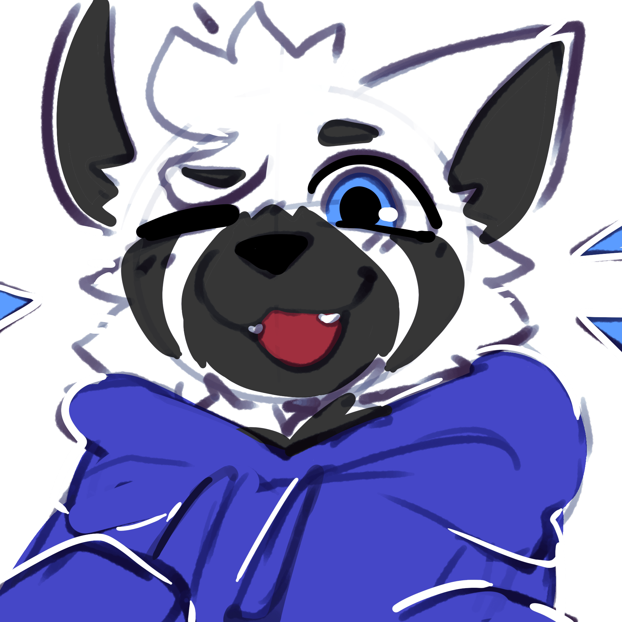 user avatar image for Adam