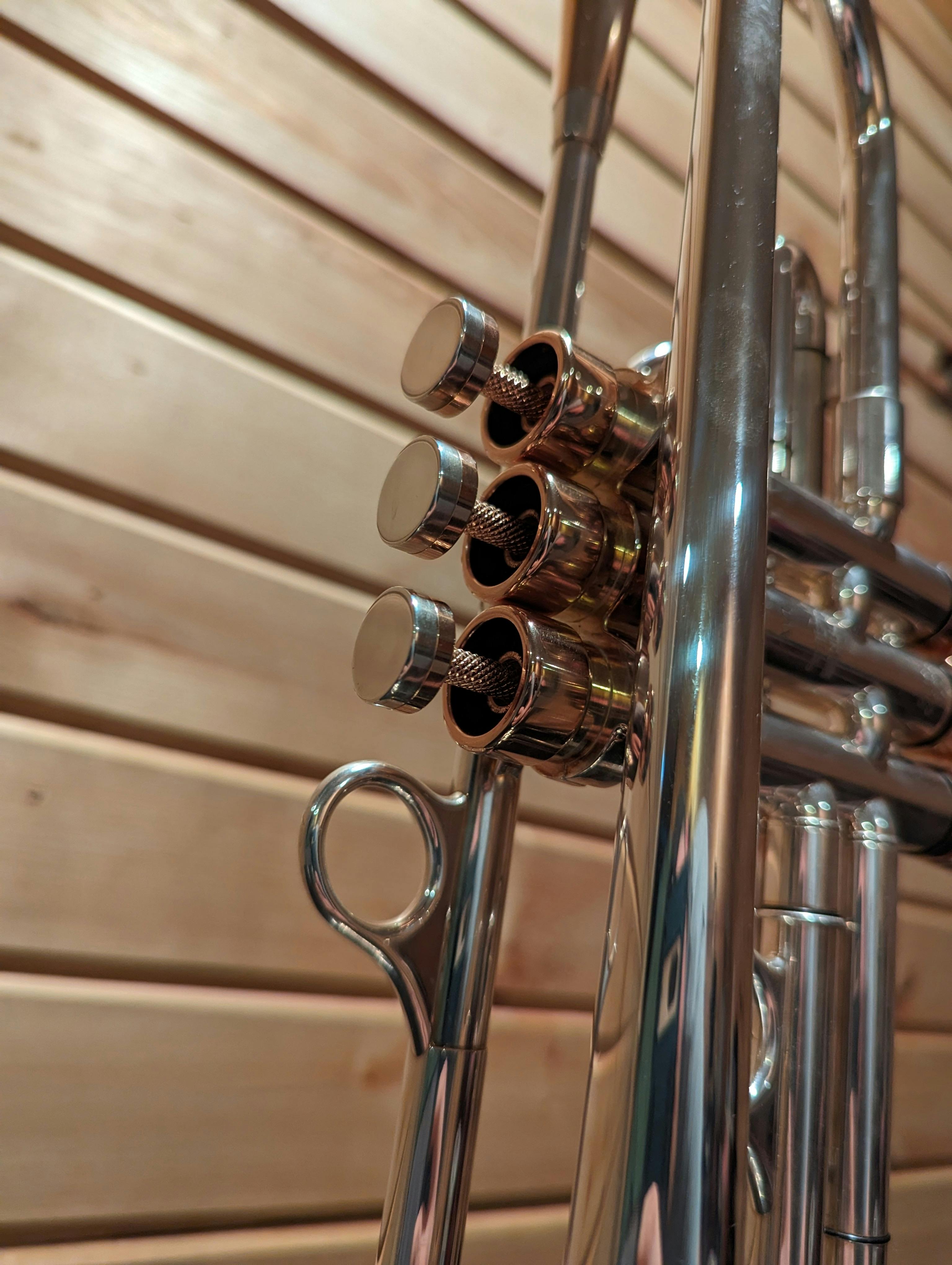 user avatar image for Steven