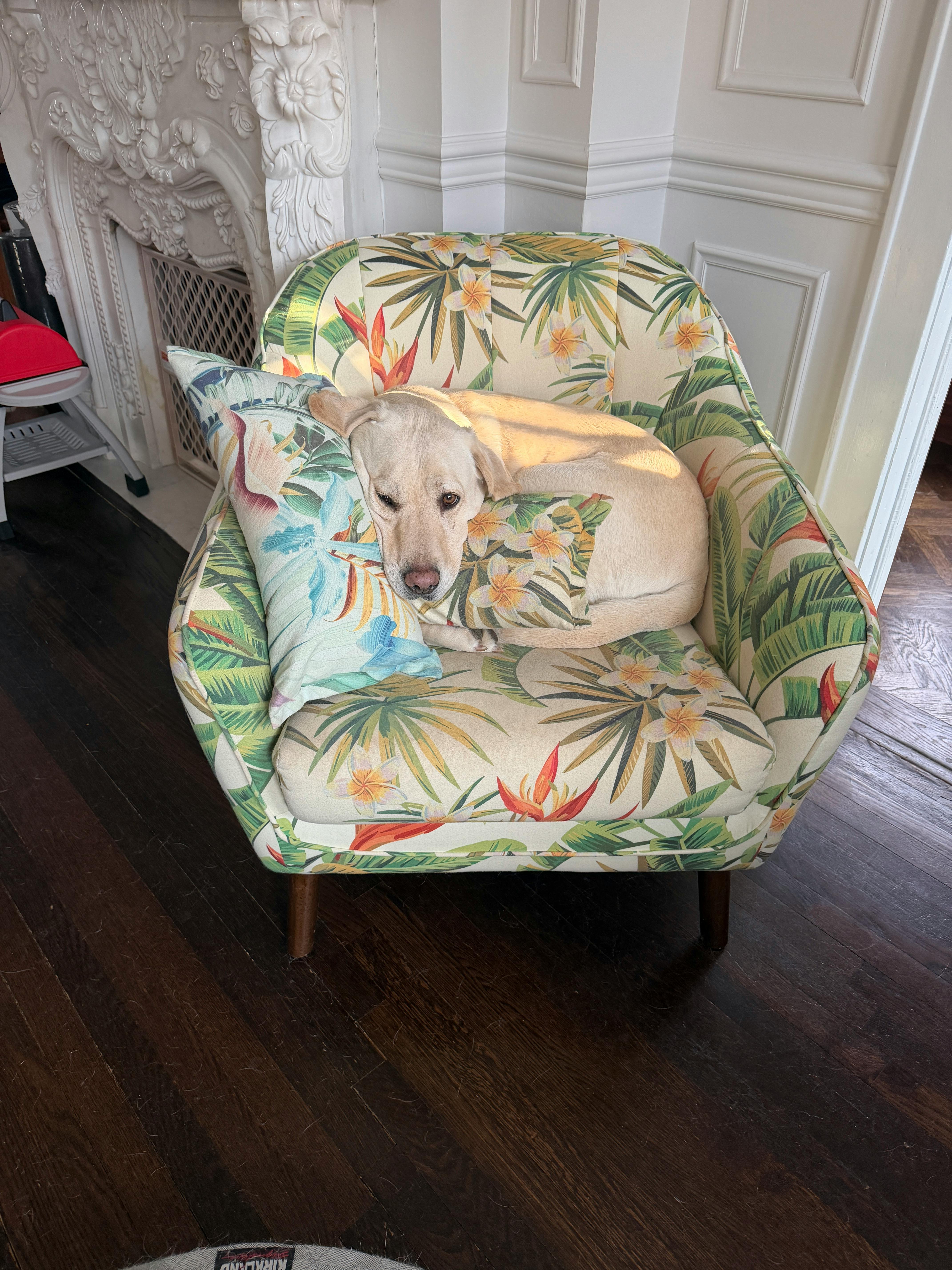 user avatar image for jay