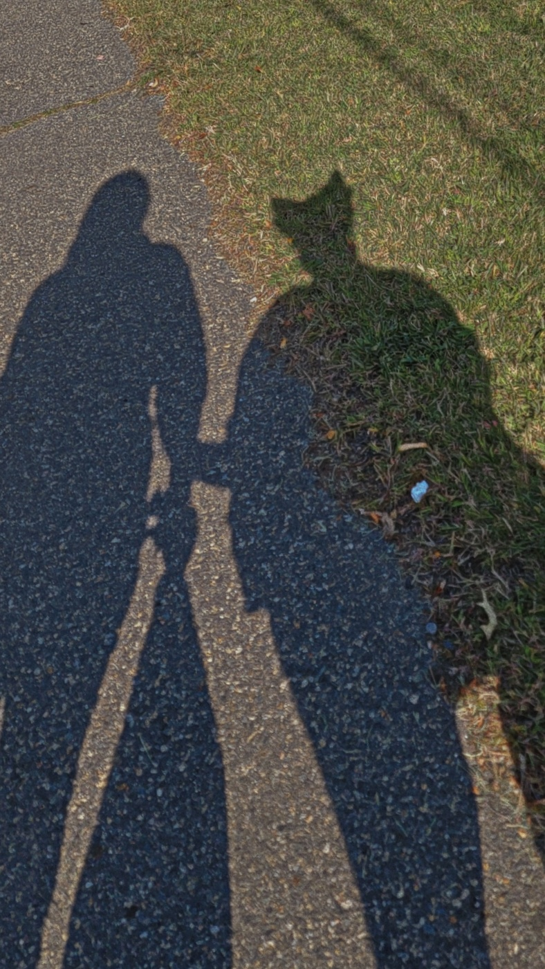 user avatar image for Dustin