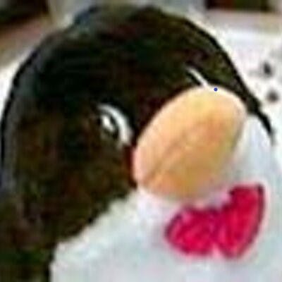 user avatar image for Chris Pipinou