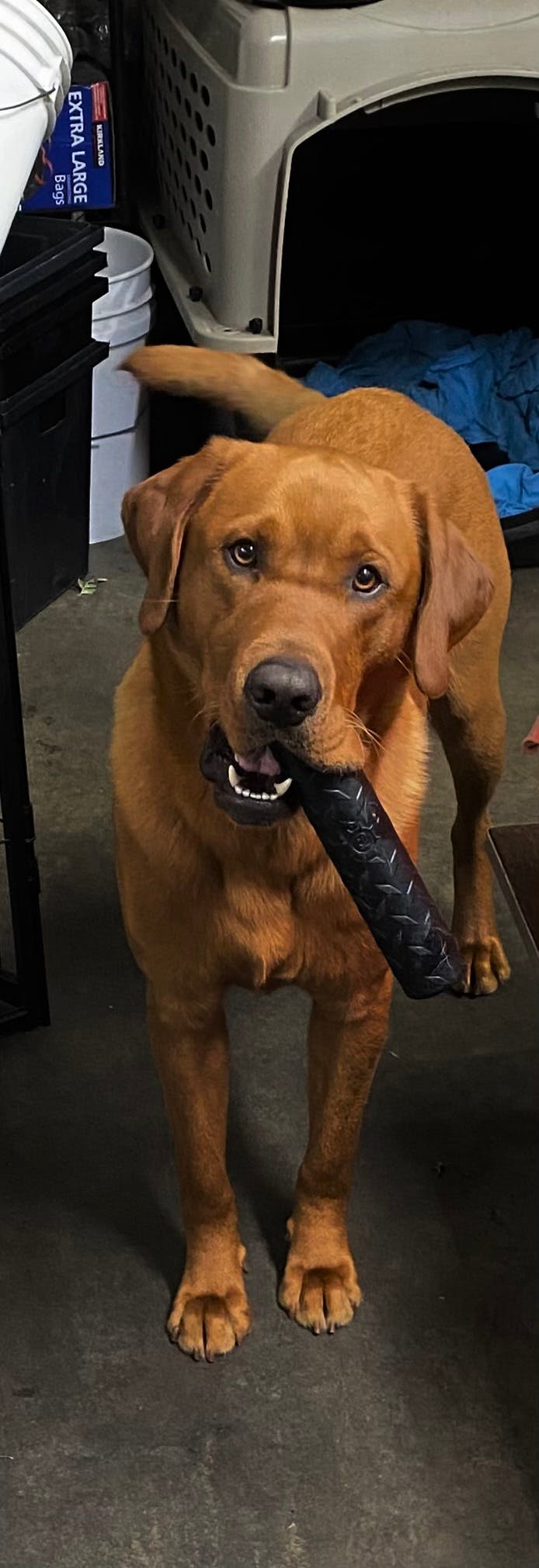 user avatar image for CHRISTOPHER SIMS