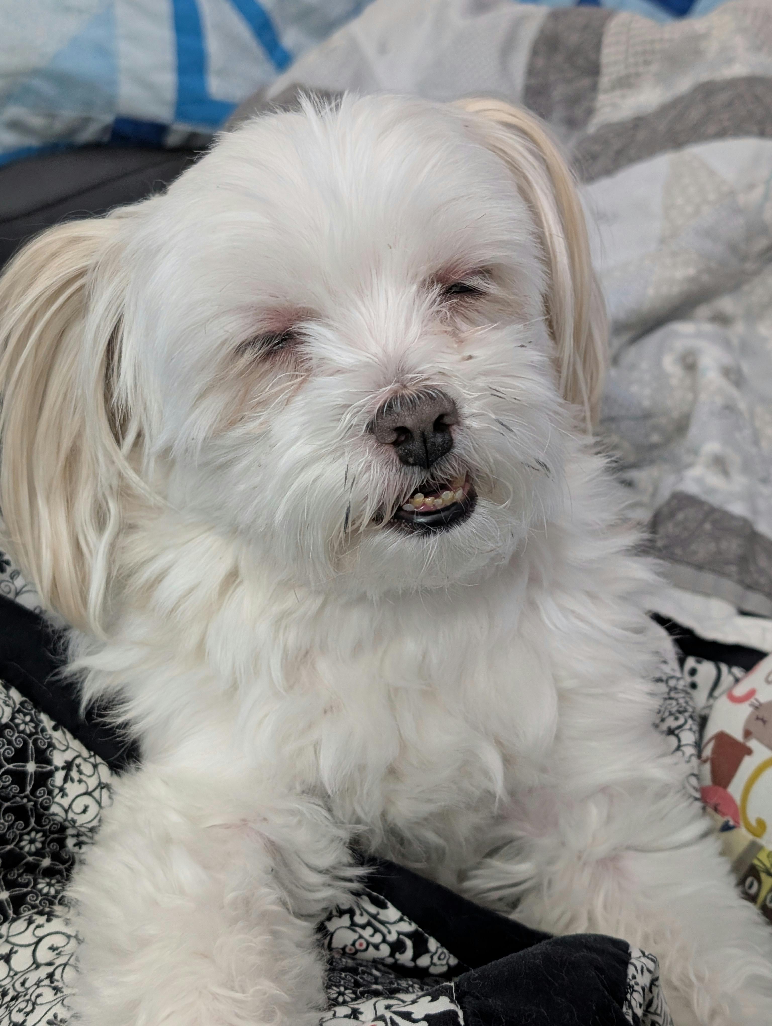 user avatar image for NanLia 