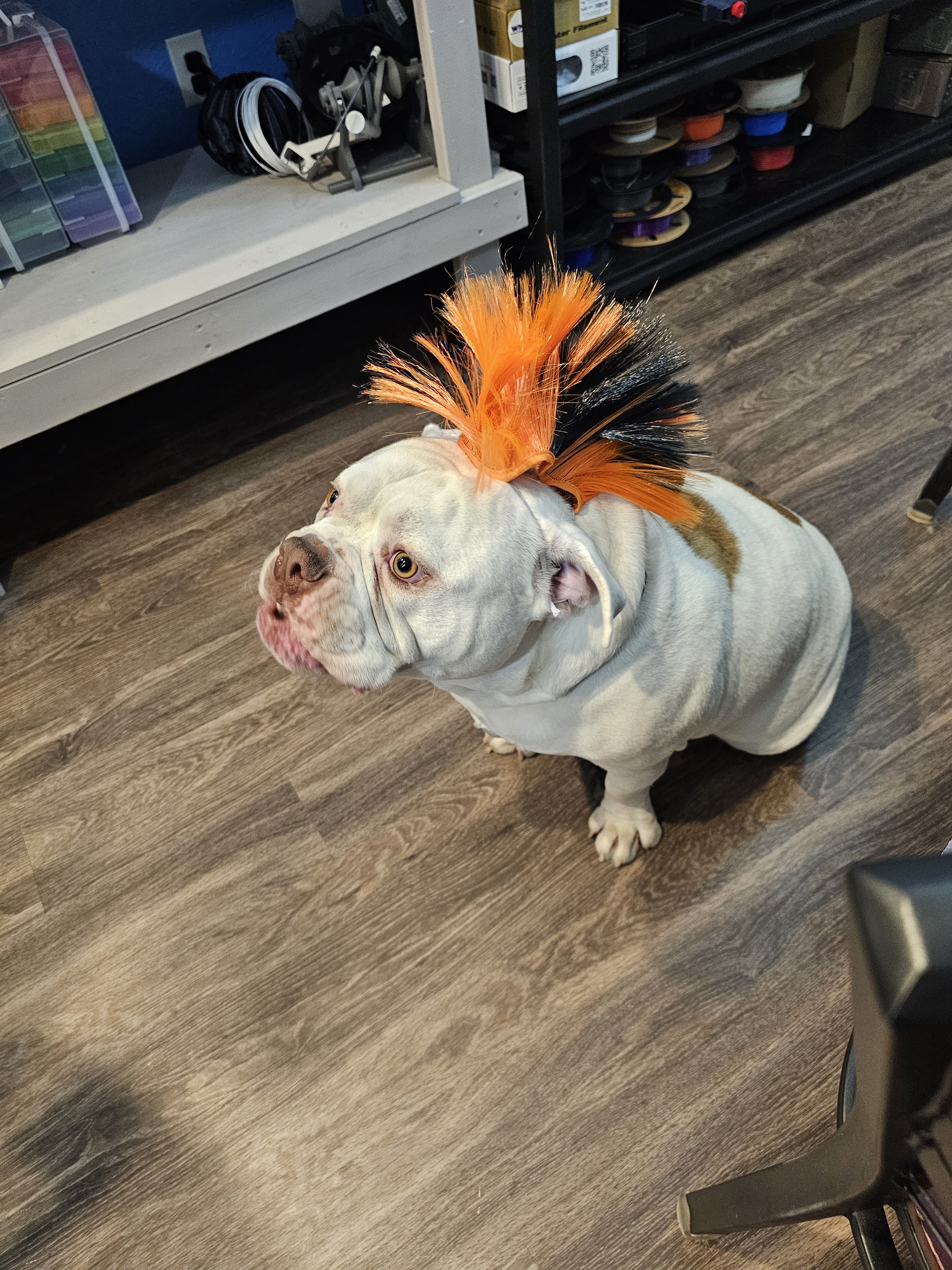 user avatar image for Dana Clemmons