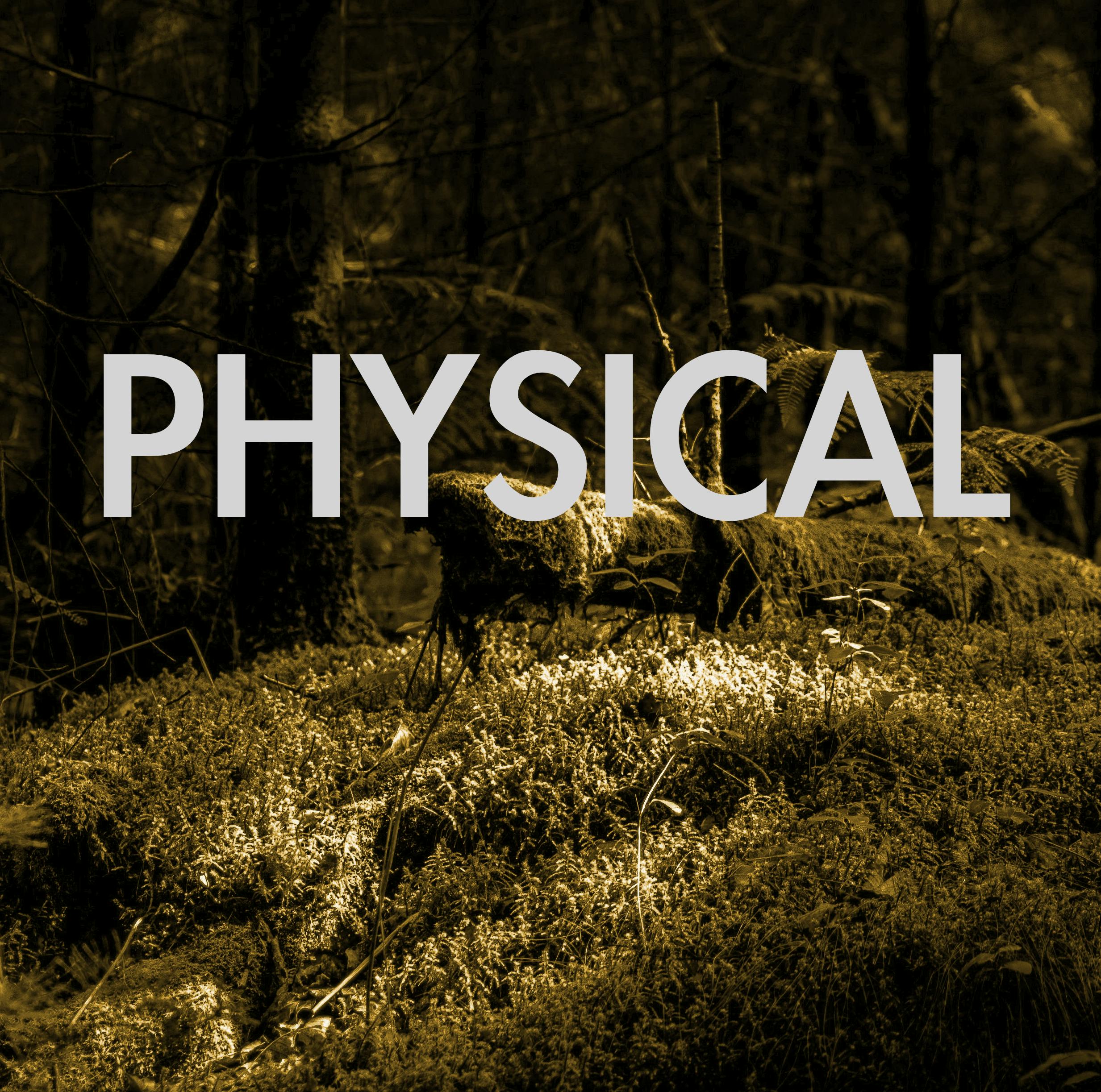 The Physical Zines of Metal Scraps Covered in Moss