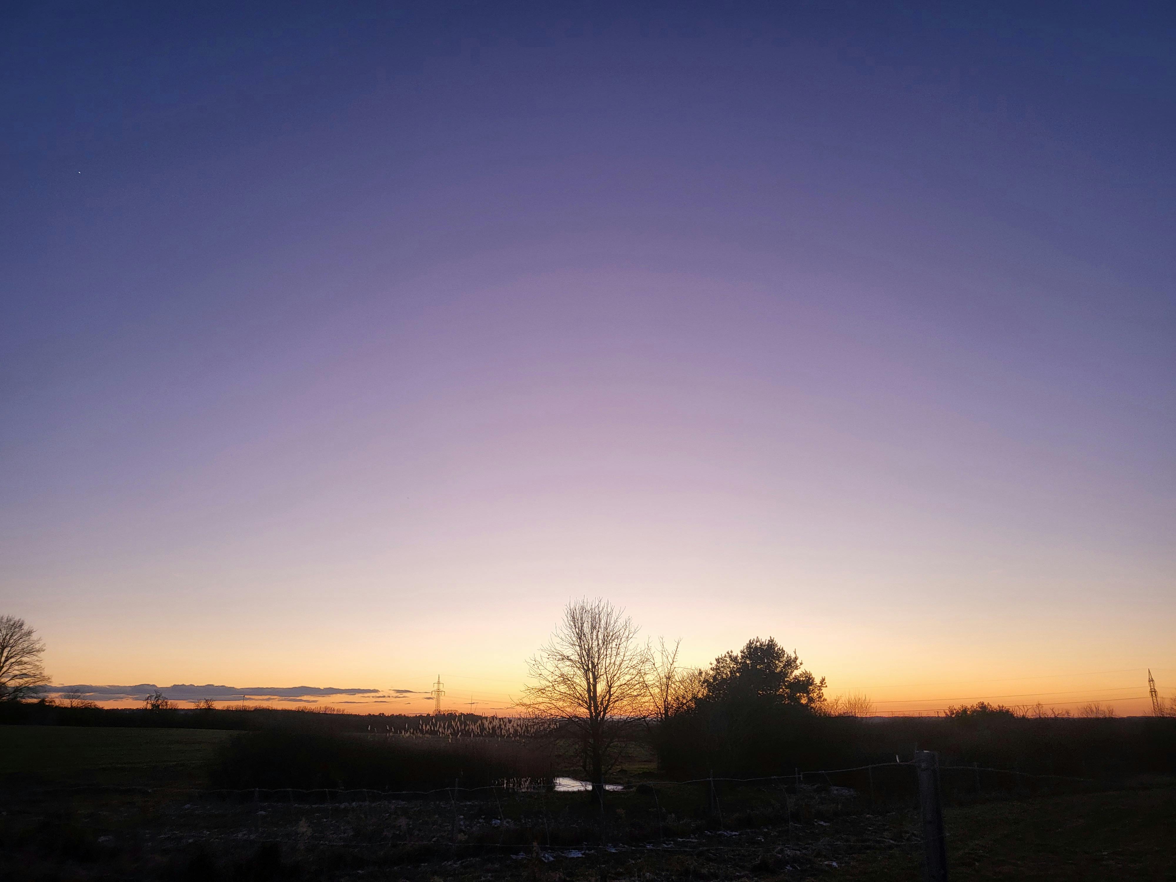 user avatar image for NeCoYa