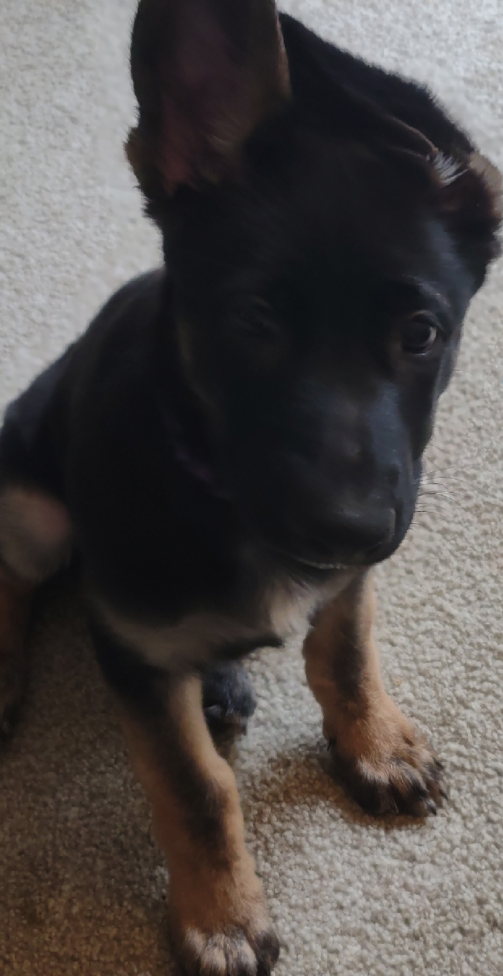 user avatar image for Singl2d8