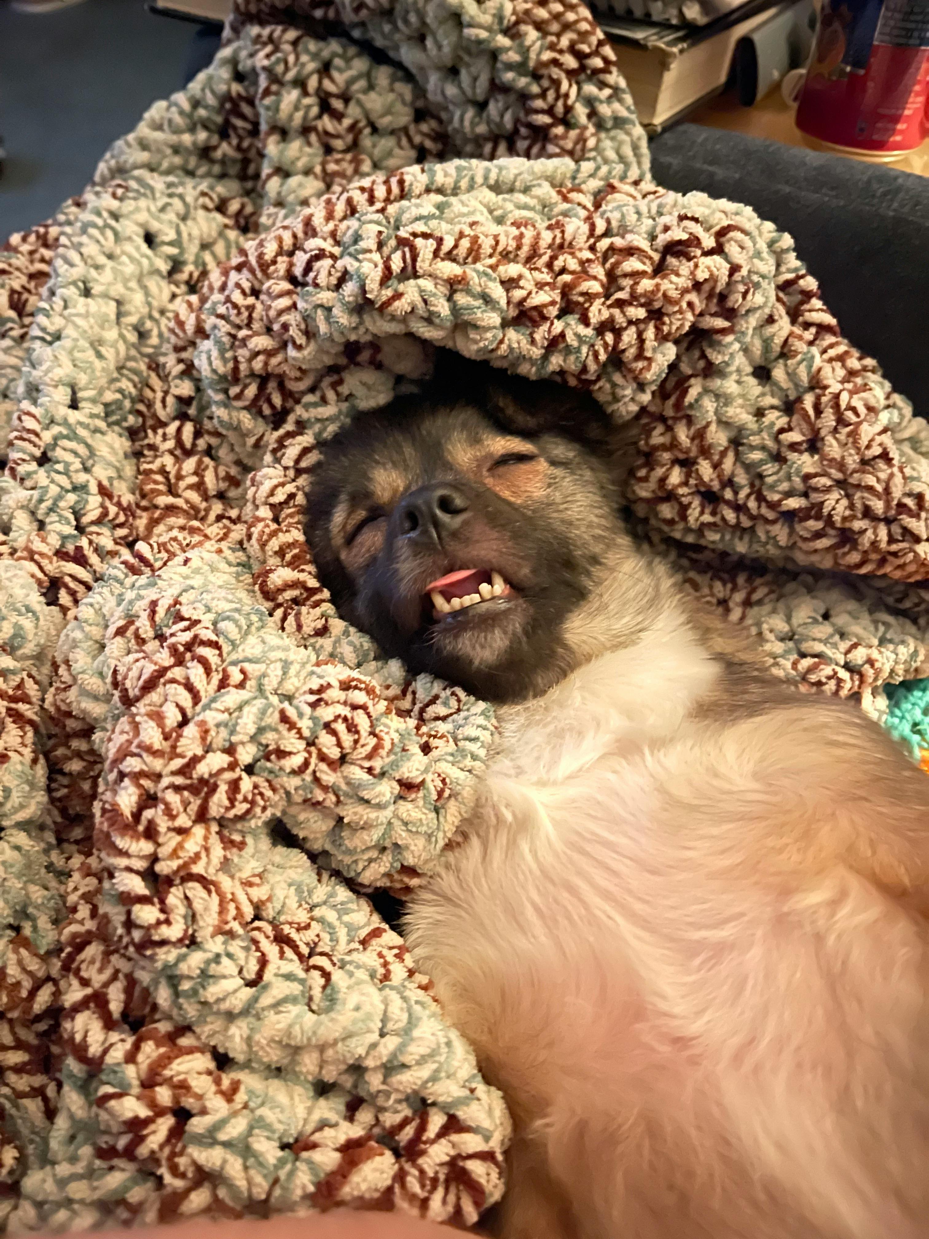 user avatar image for Joseph M. Price