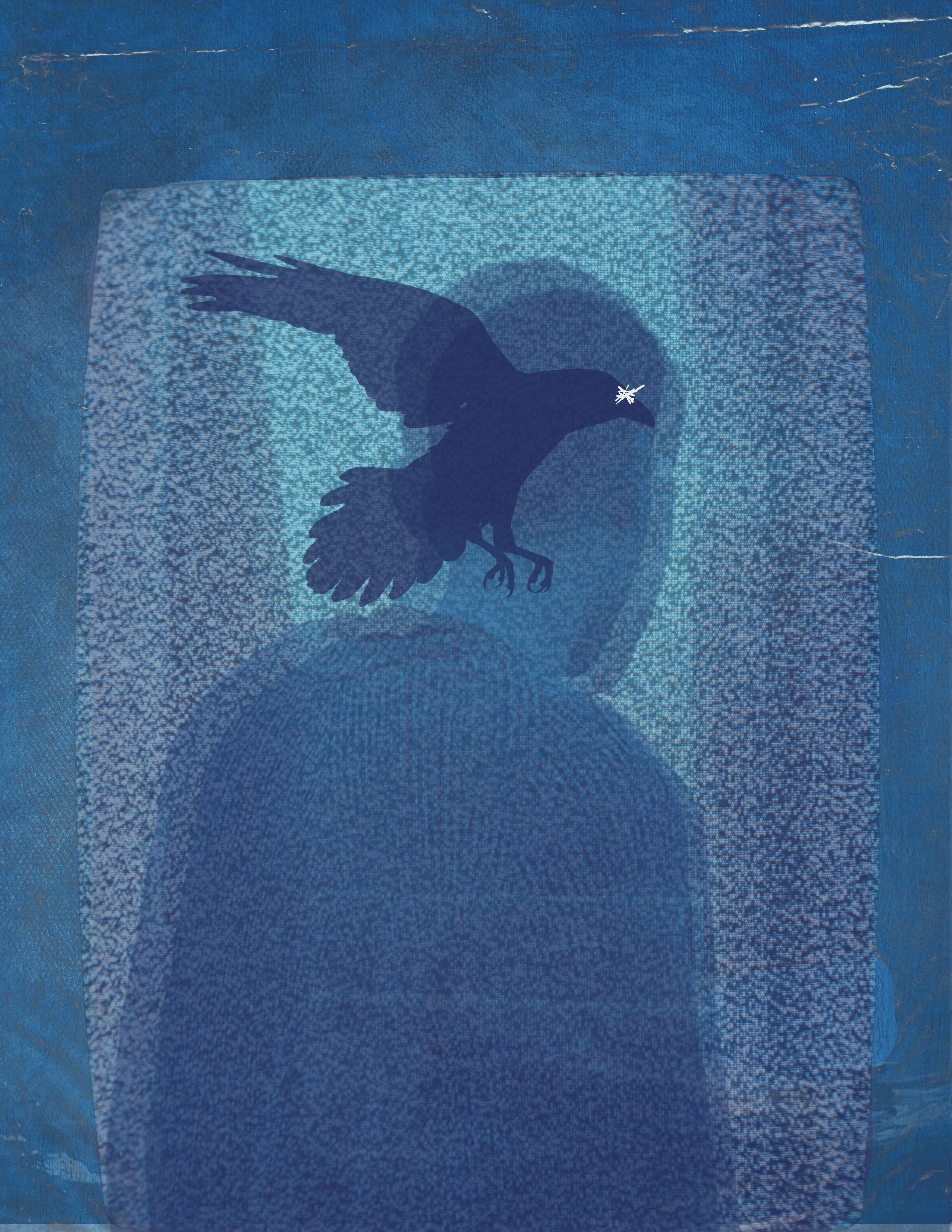 user avatar image for wildermuth