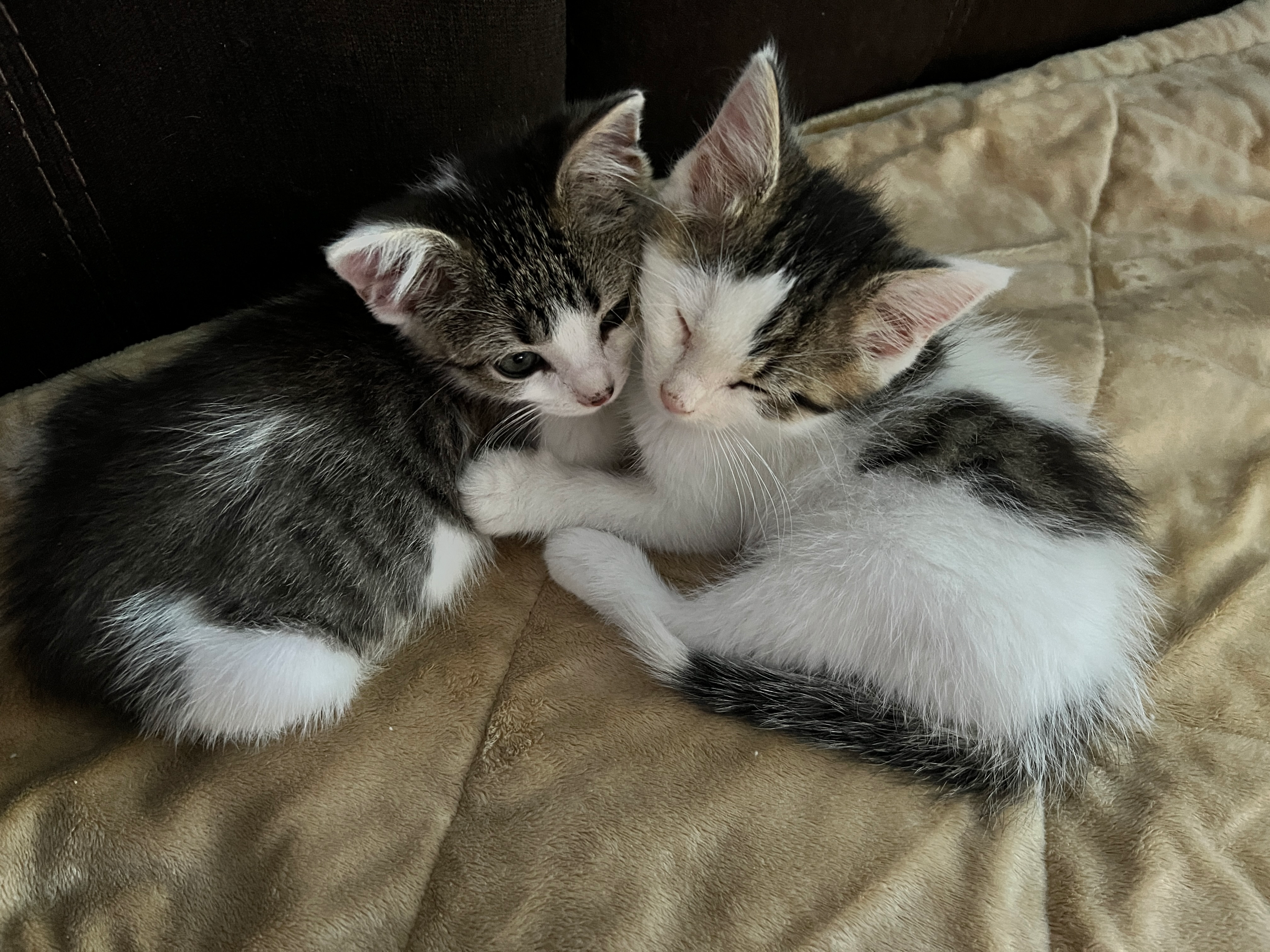 user avatar image for Jesse