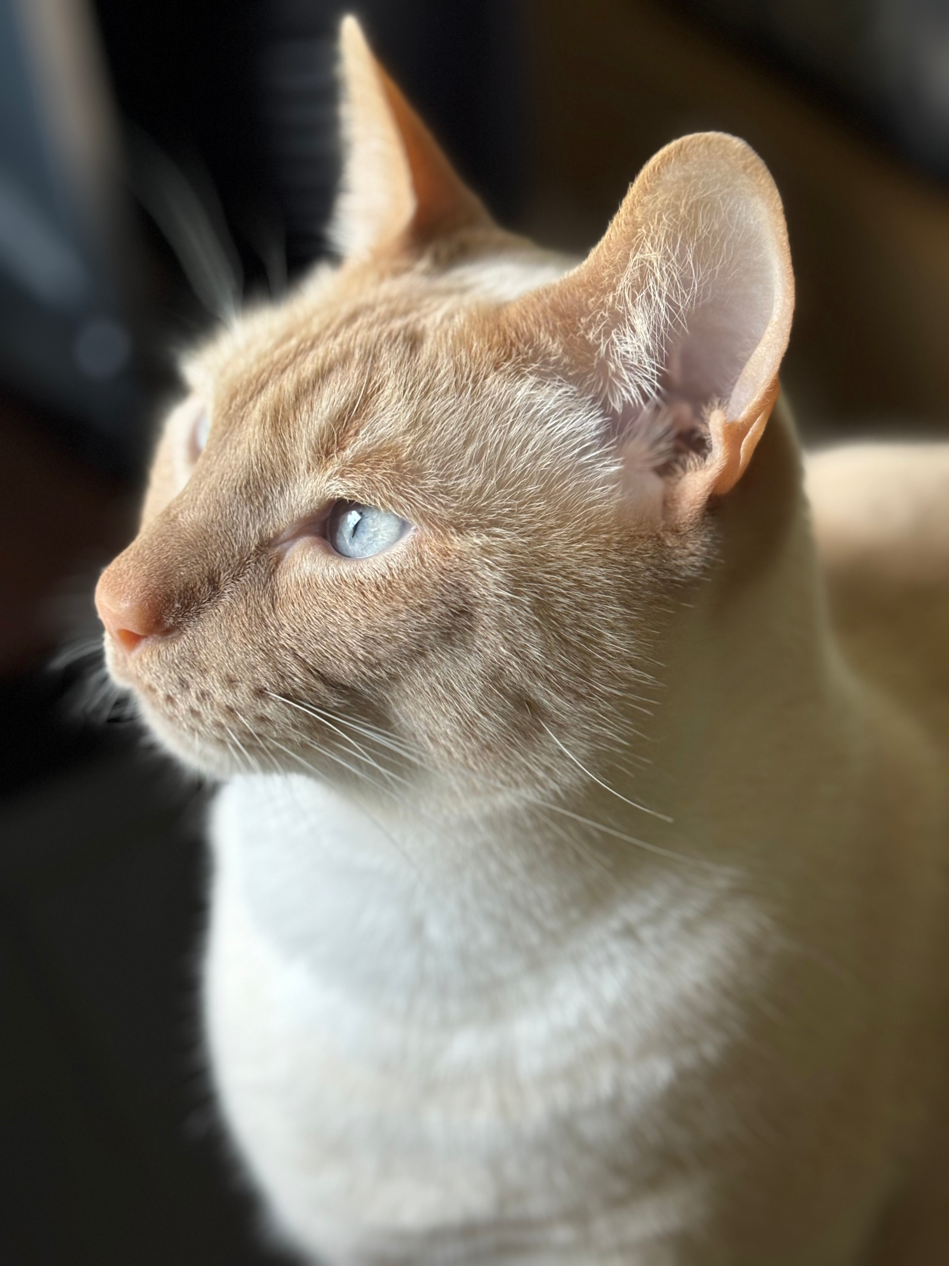 user avatar image for Gia C