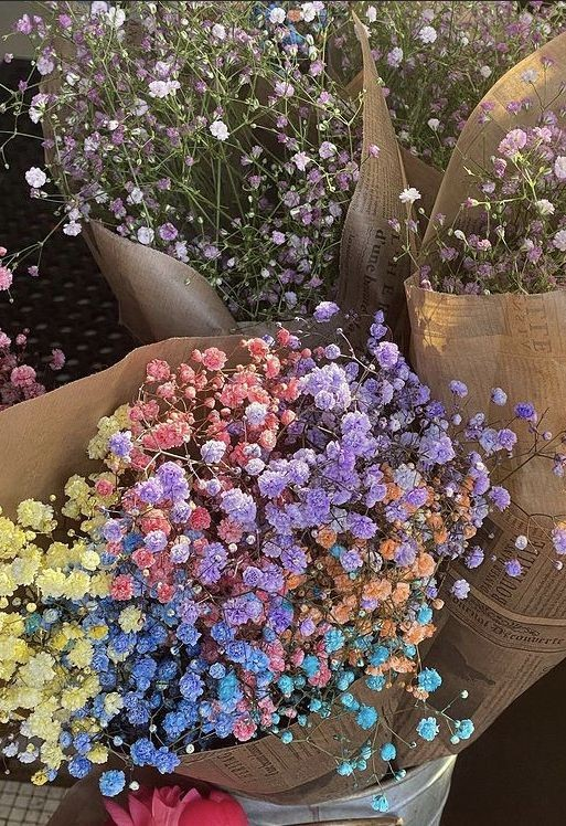 user avatar image for Lena