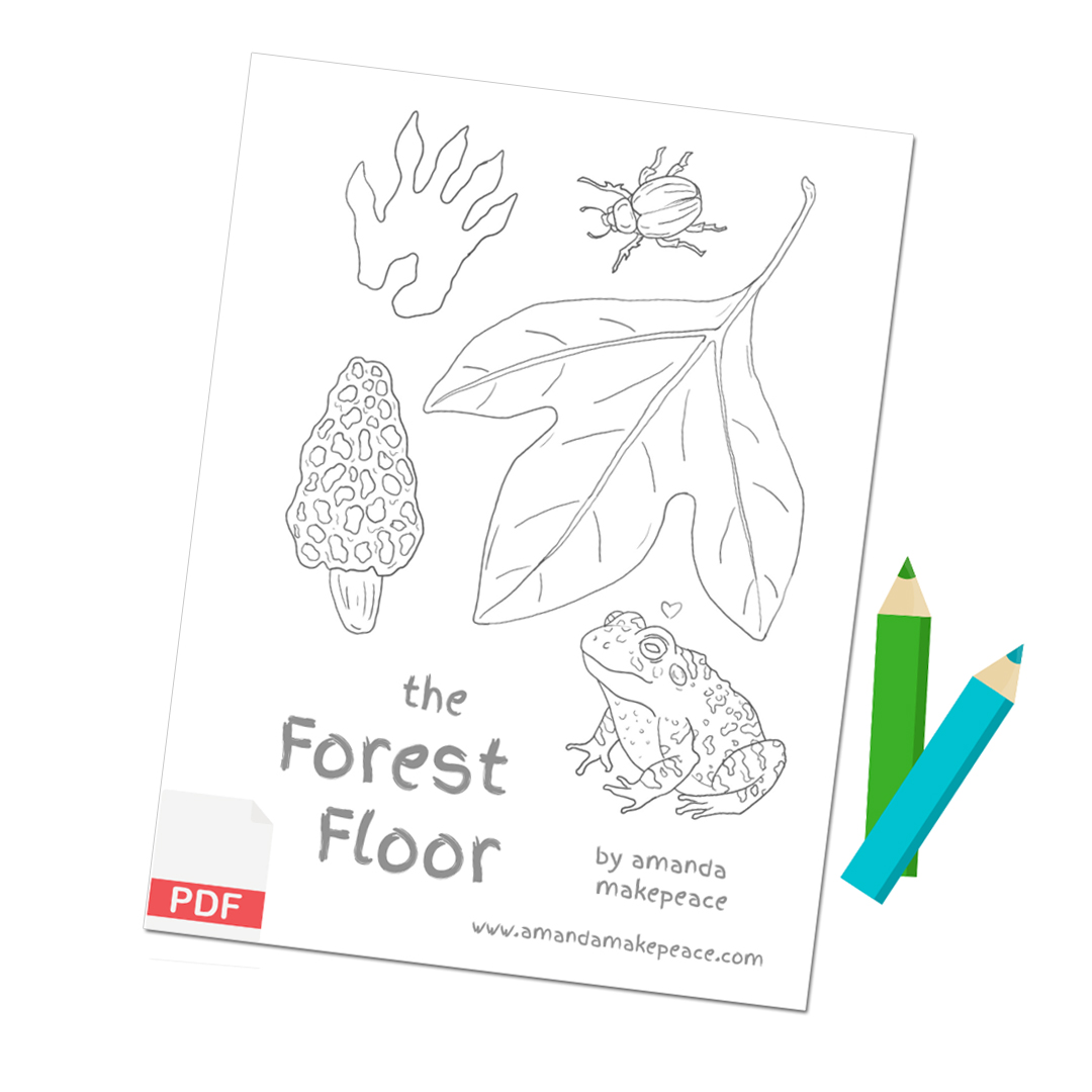 Forest Floor Coloring Sheet