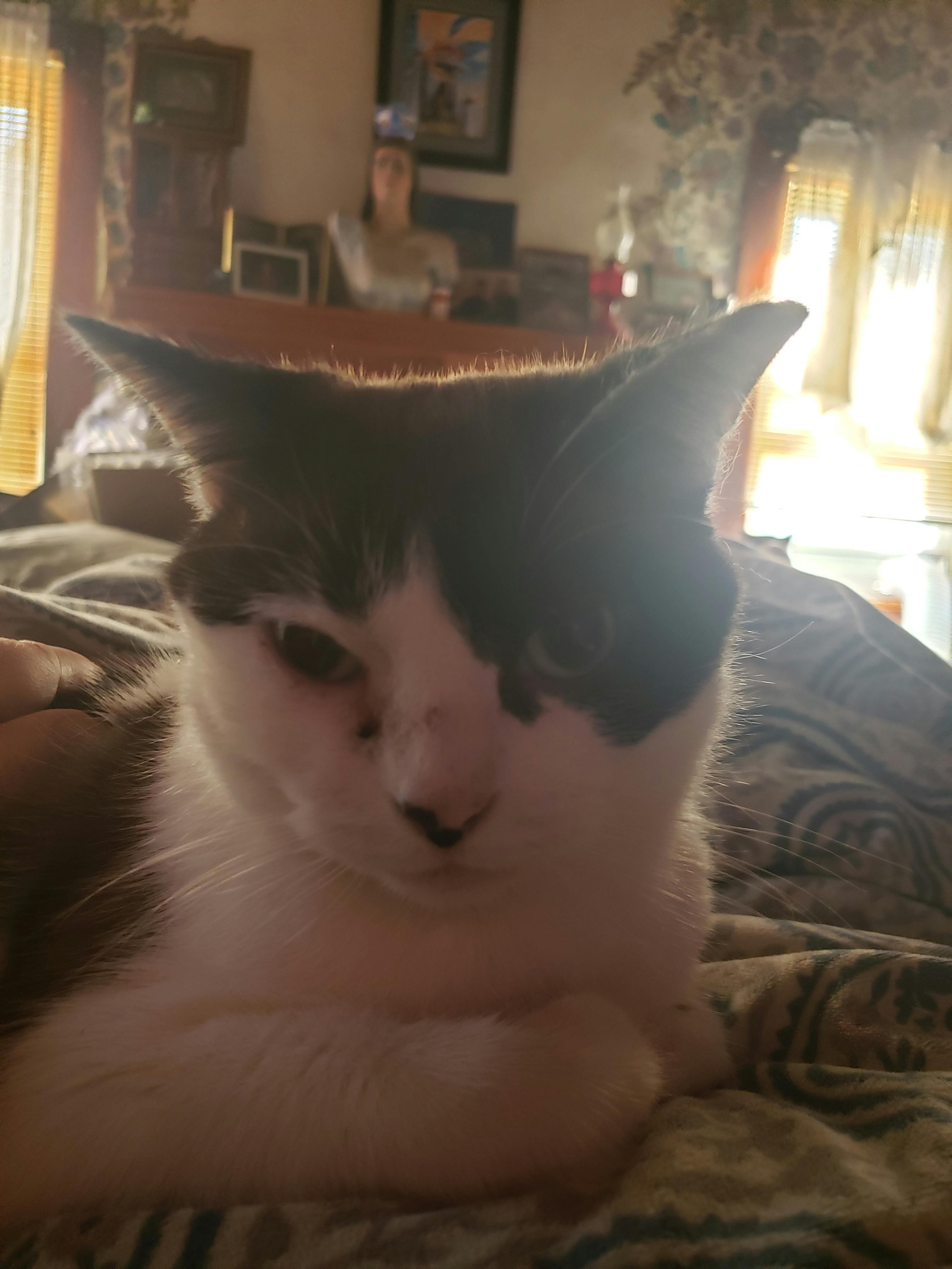 user avatar image for Trava Buono