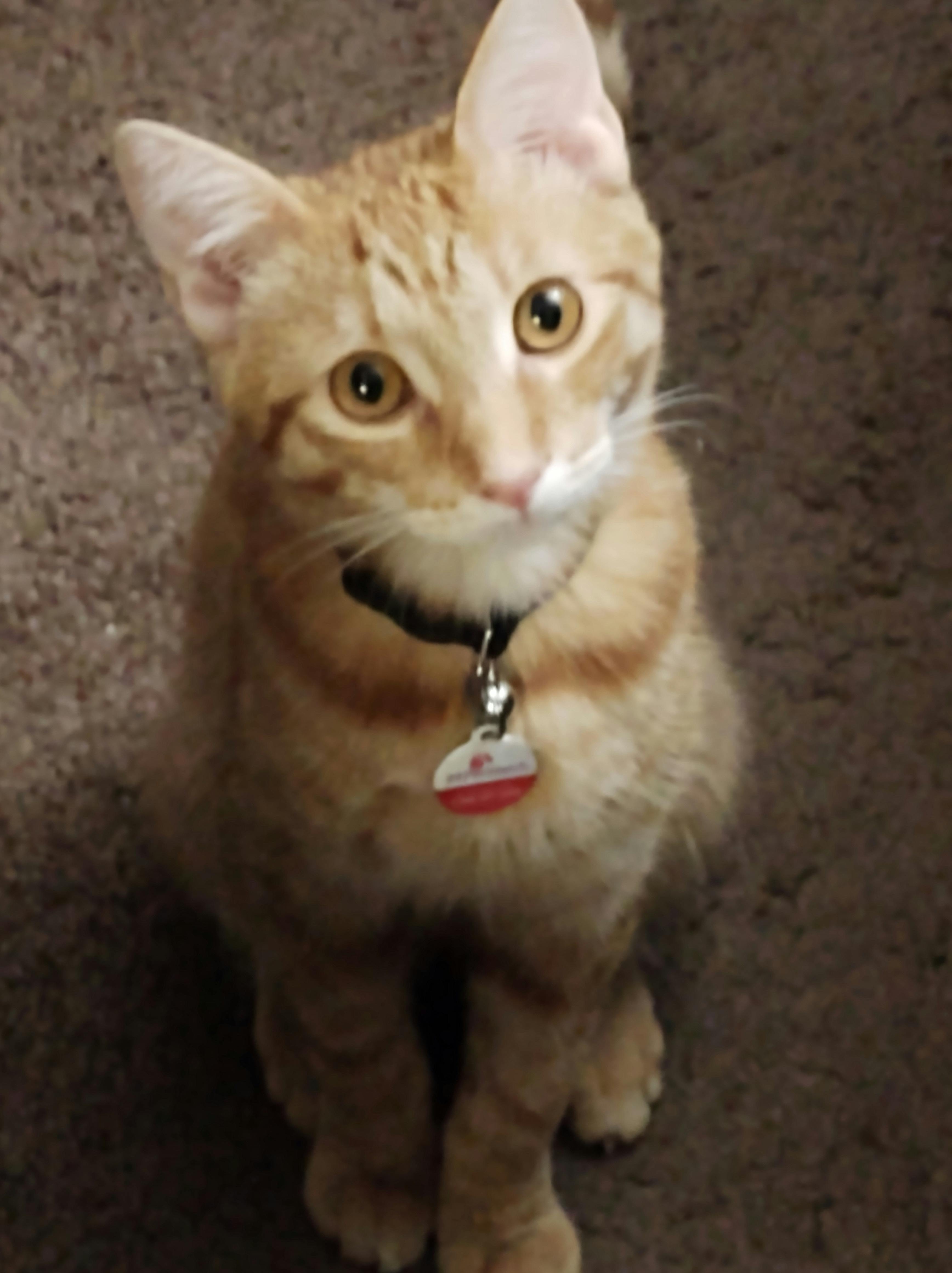 user avatar image for Sawyerwolf