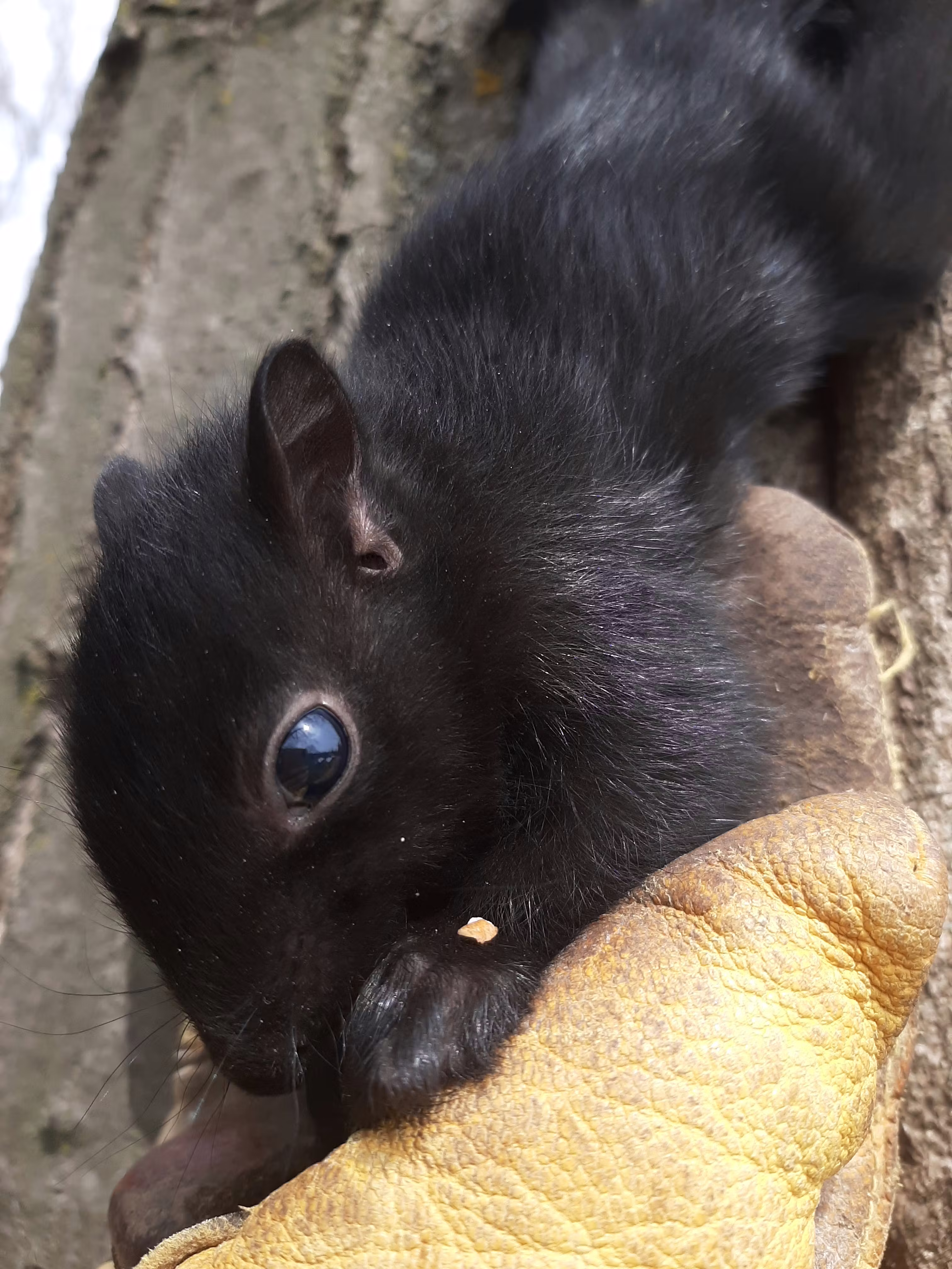 user avatar image for Wes