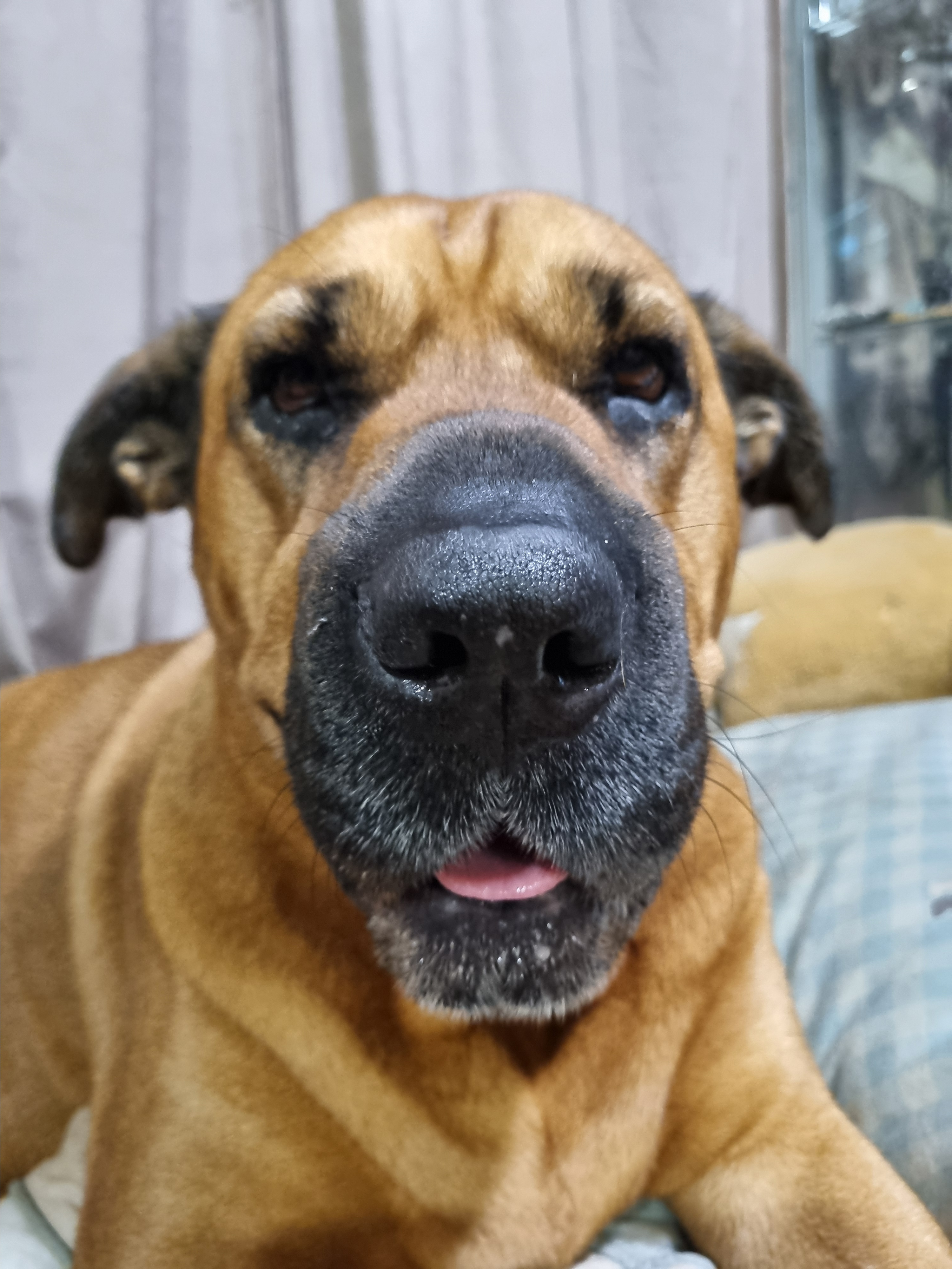 user avatar image for GCBWRNW