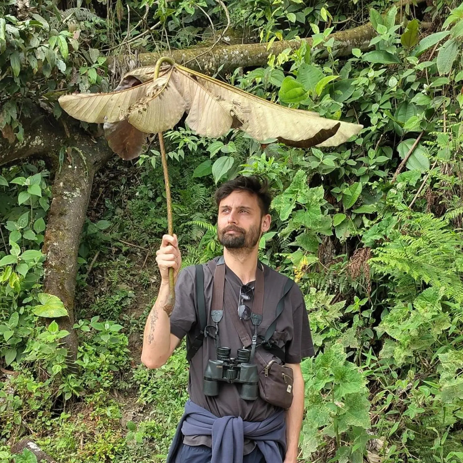 user avatar image for David Euzen