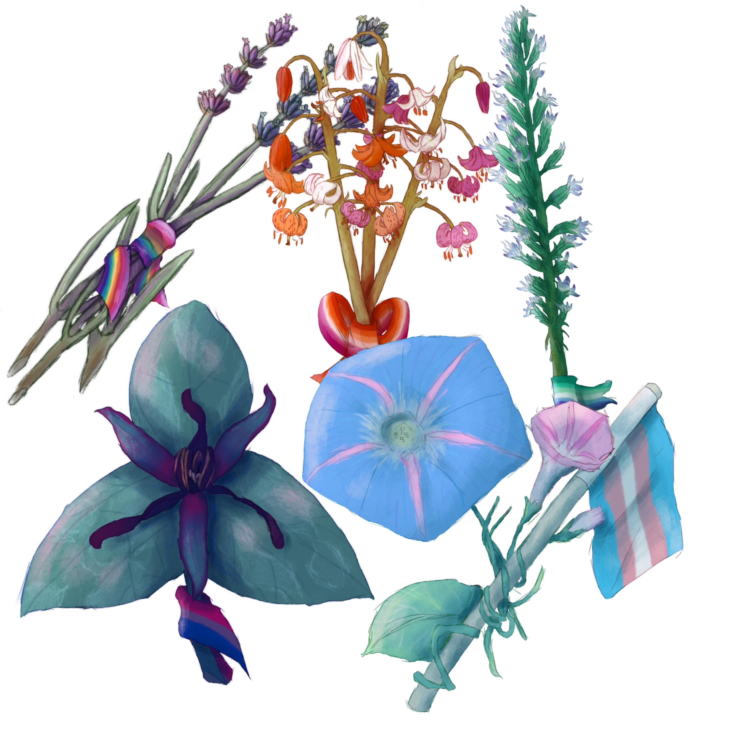 5 large stickers