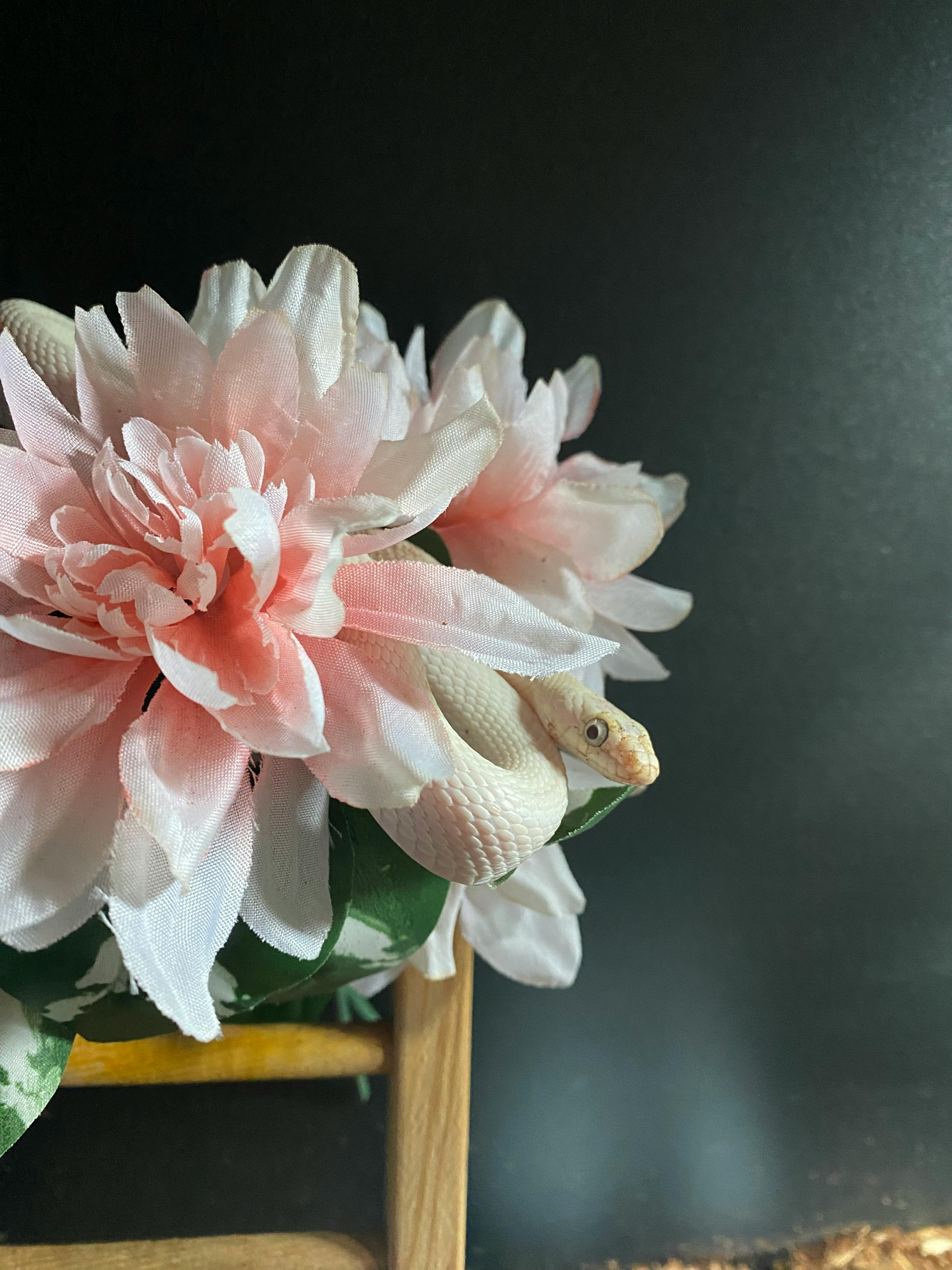 user avatar image for Cathy Watson