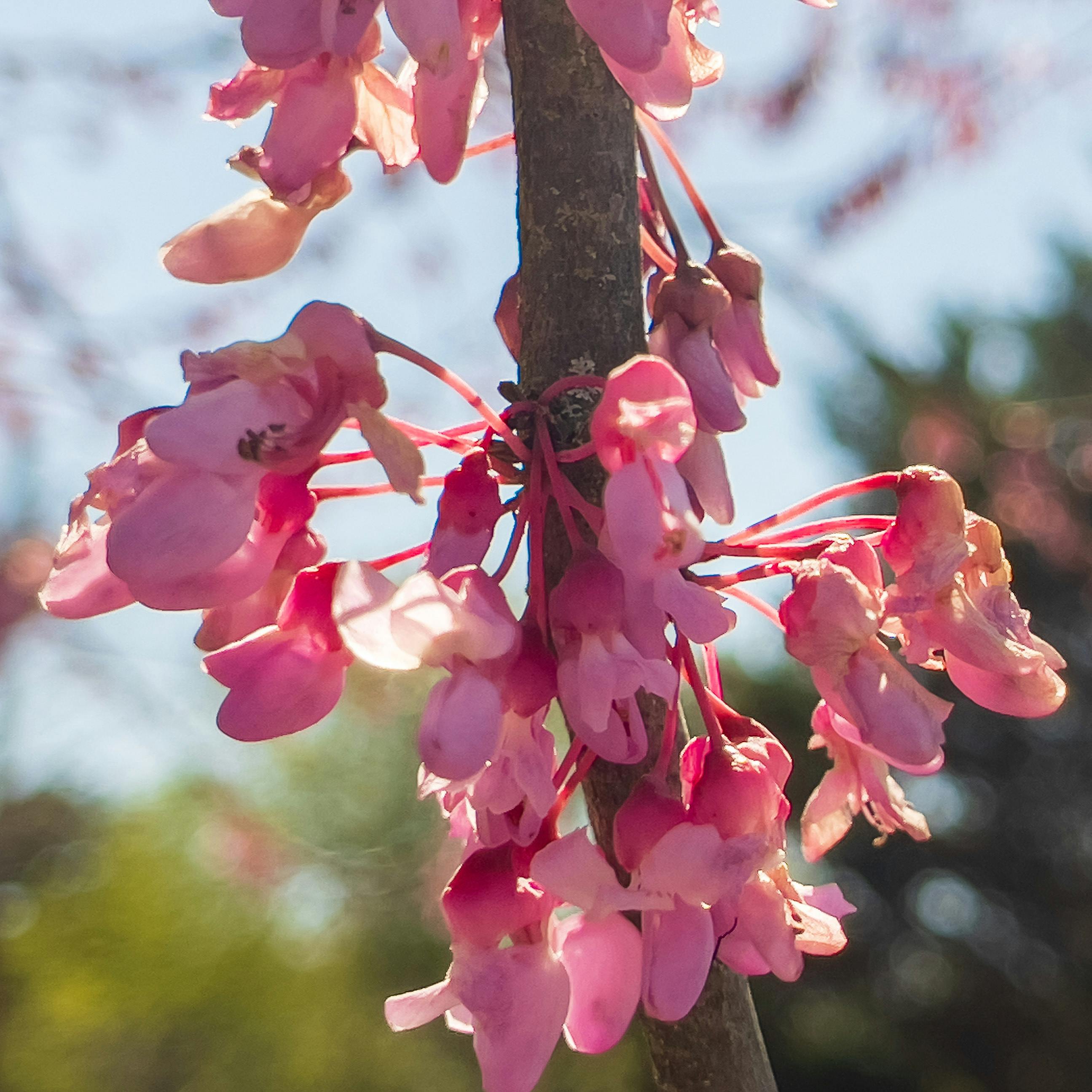 user avatar image for Heath