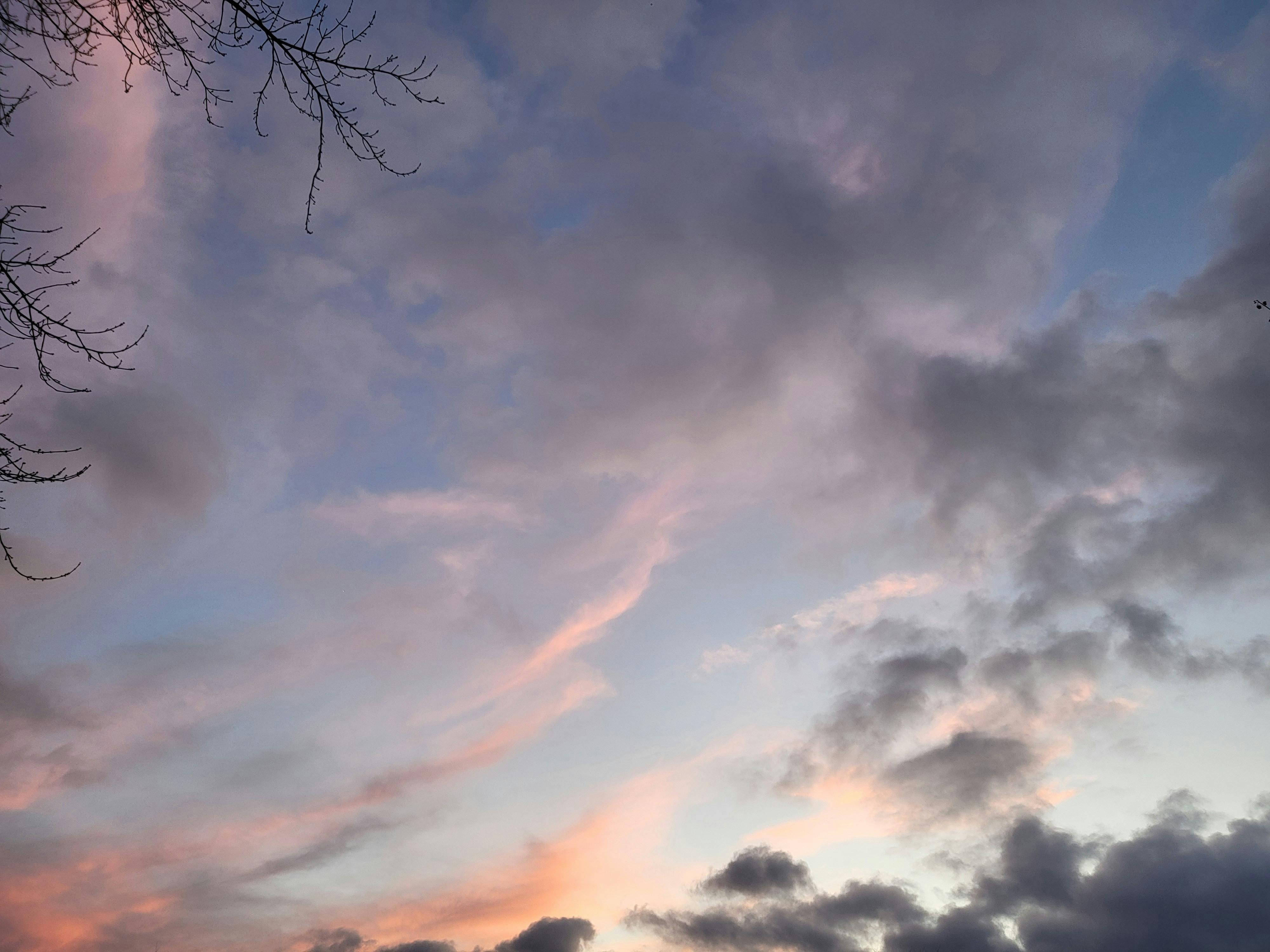 user avatar image for Elizabeth 