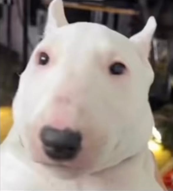 user avatar image for Elisa Long