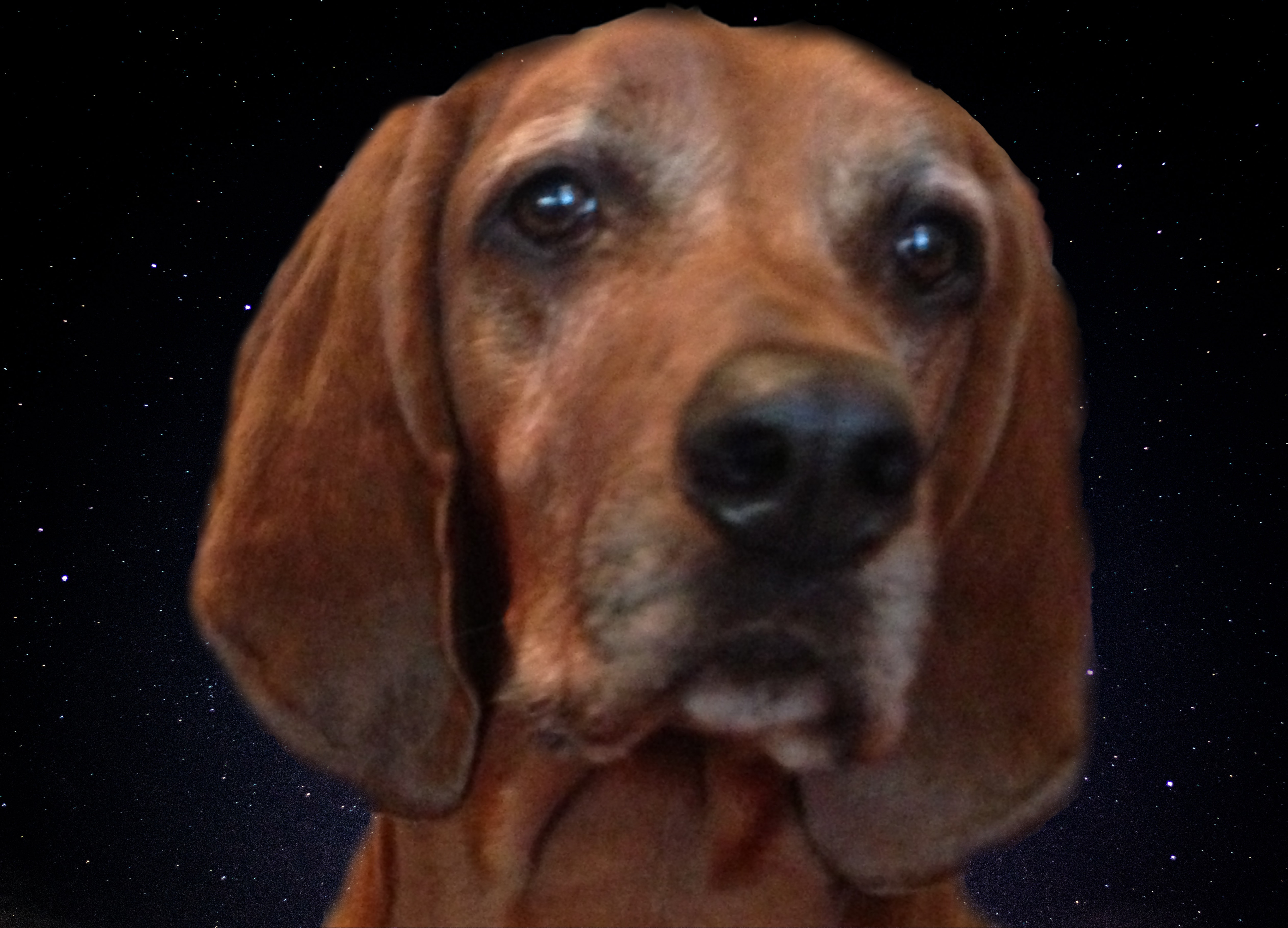 user avatar image for OTIStheHOUND