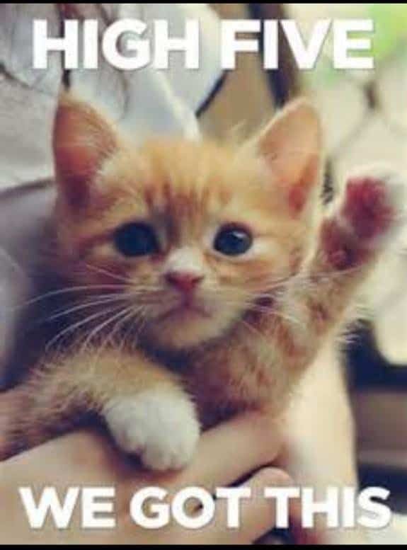 user avatar image for Jen Traeger