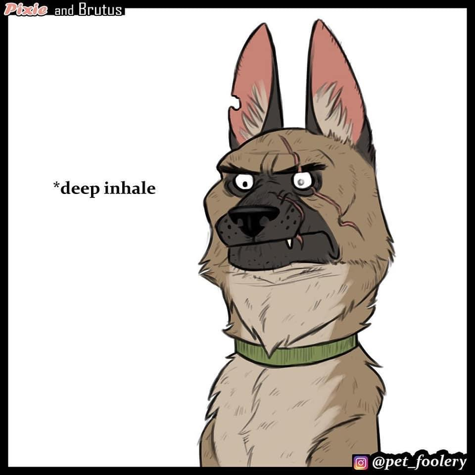 user avatar image for Kaibora