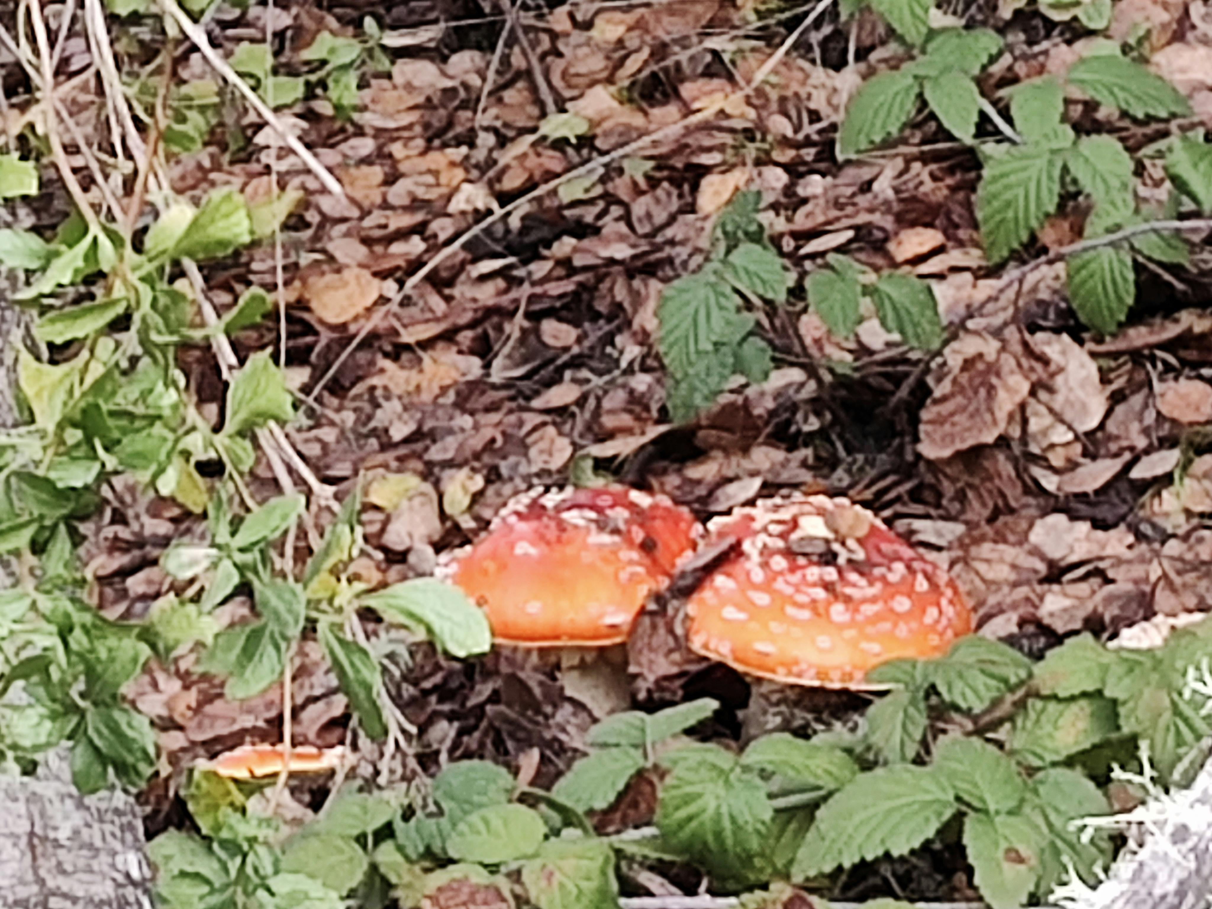 user avatar image for Jeffery Chin