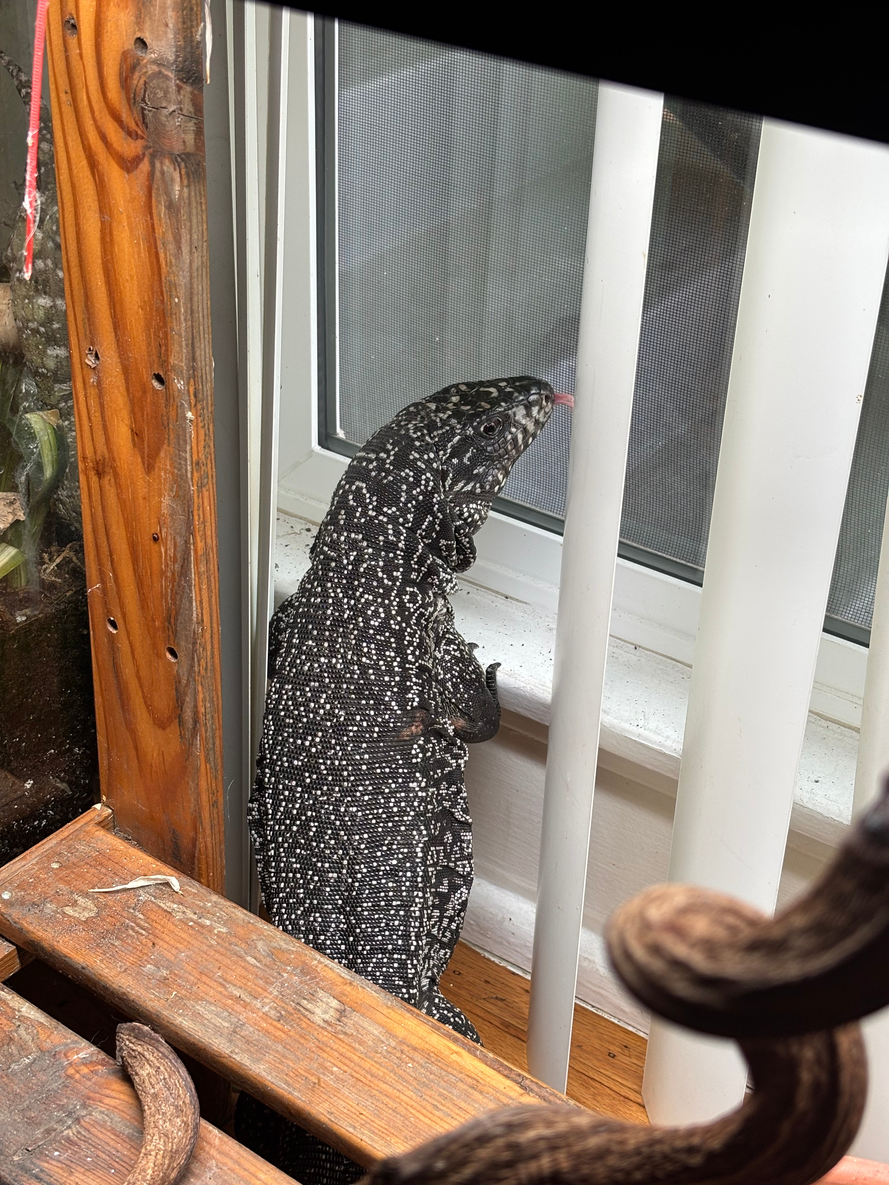 user avatar image for Palermo