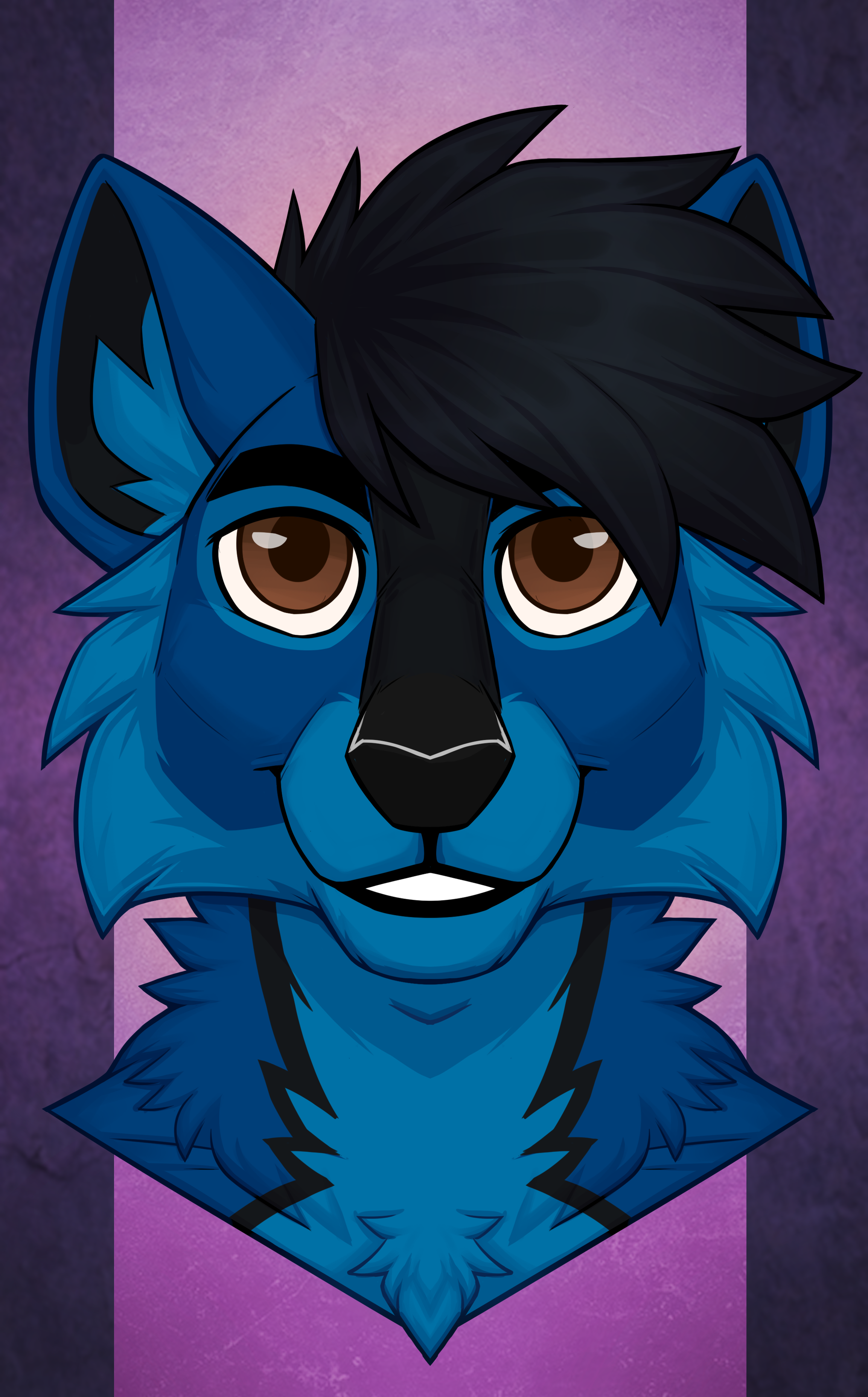 user avatar image for Aneal