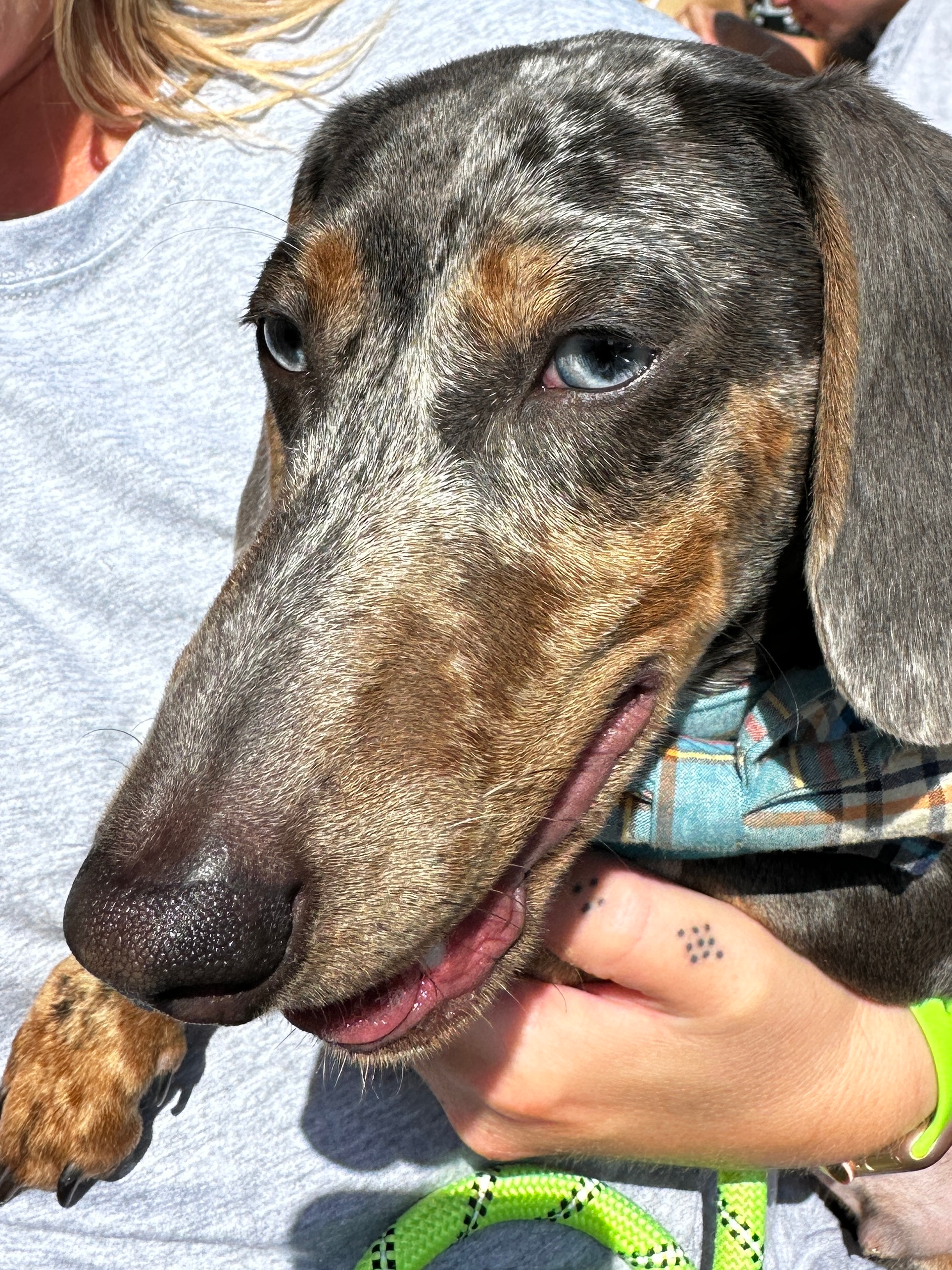 user avatar image for TheCreeper77