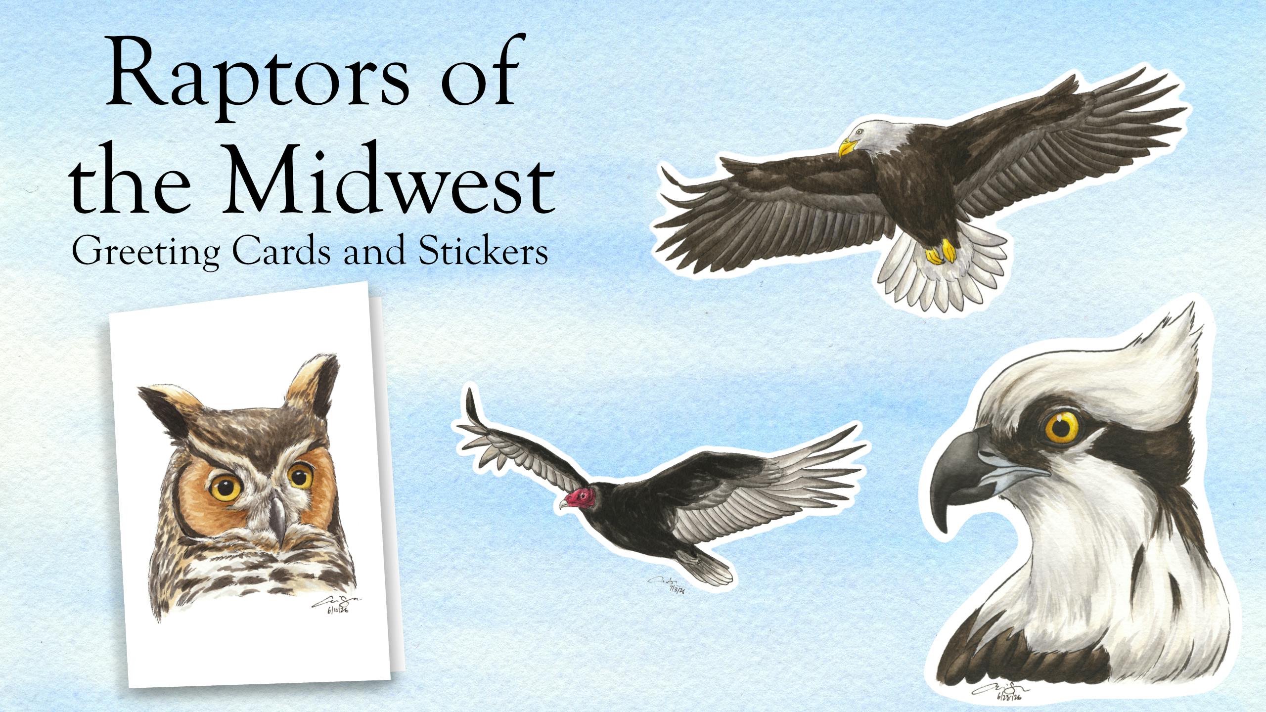 Raptors of the Midwest: Greeting Cards and Stickers