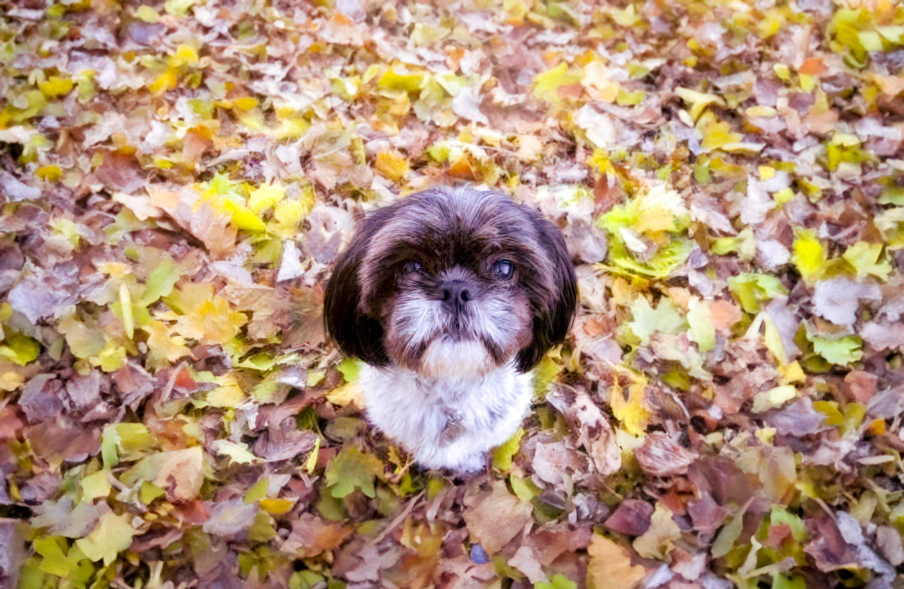 user avatar image for Quinlan Allin