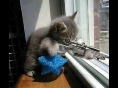 user avatar image for Mark Gunton 