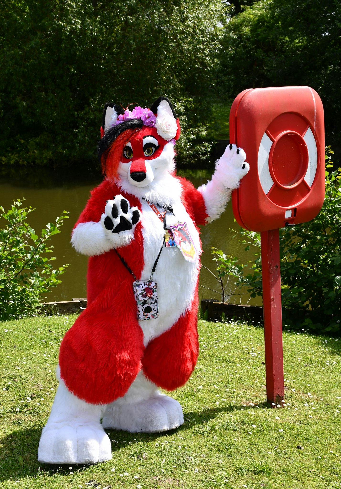 user avatar image for Lesley