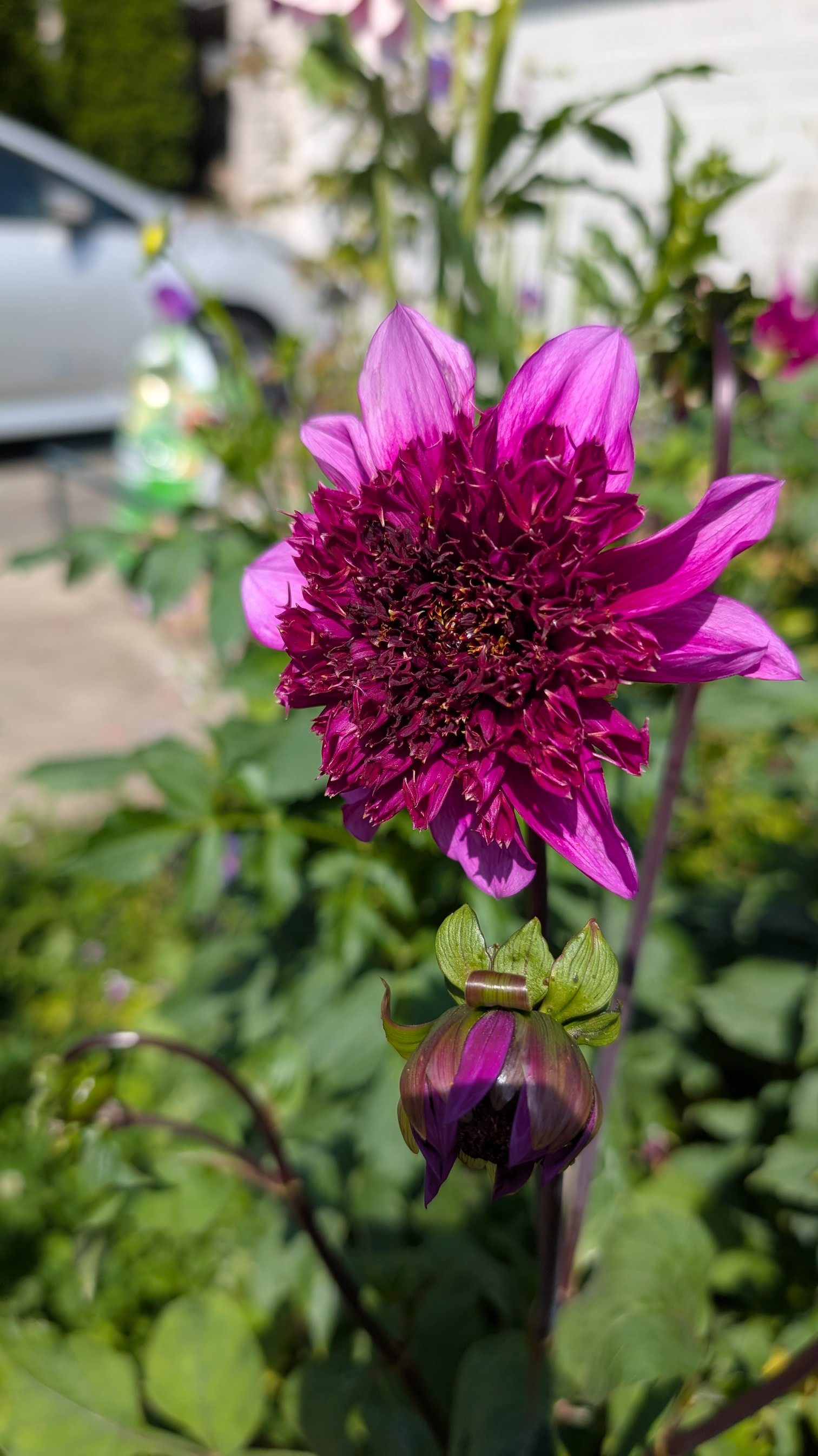 user avatar image for Willa Nowell