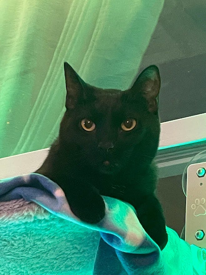 user avatar image for Stacy Lynn