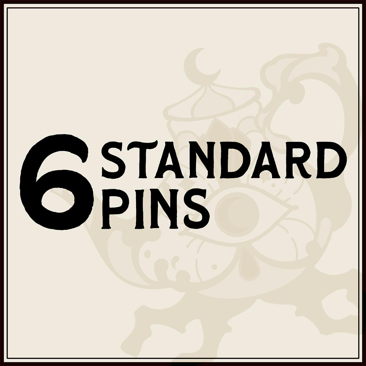 6 Standard Pins