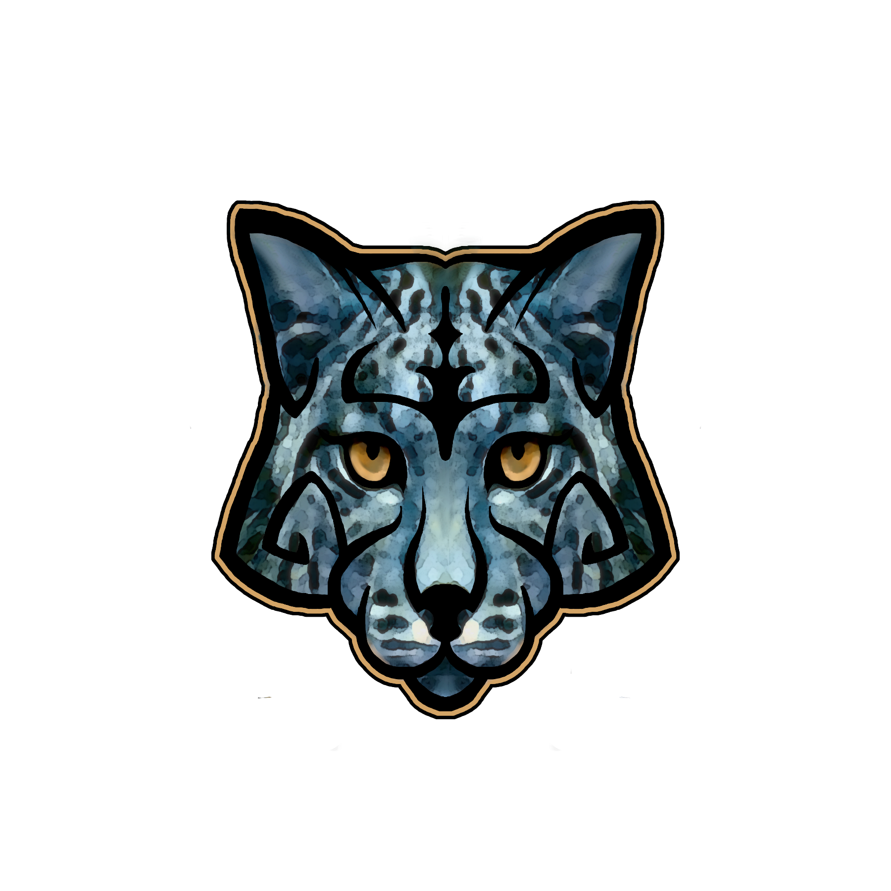 user avatar image for Tomcatdye 